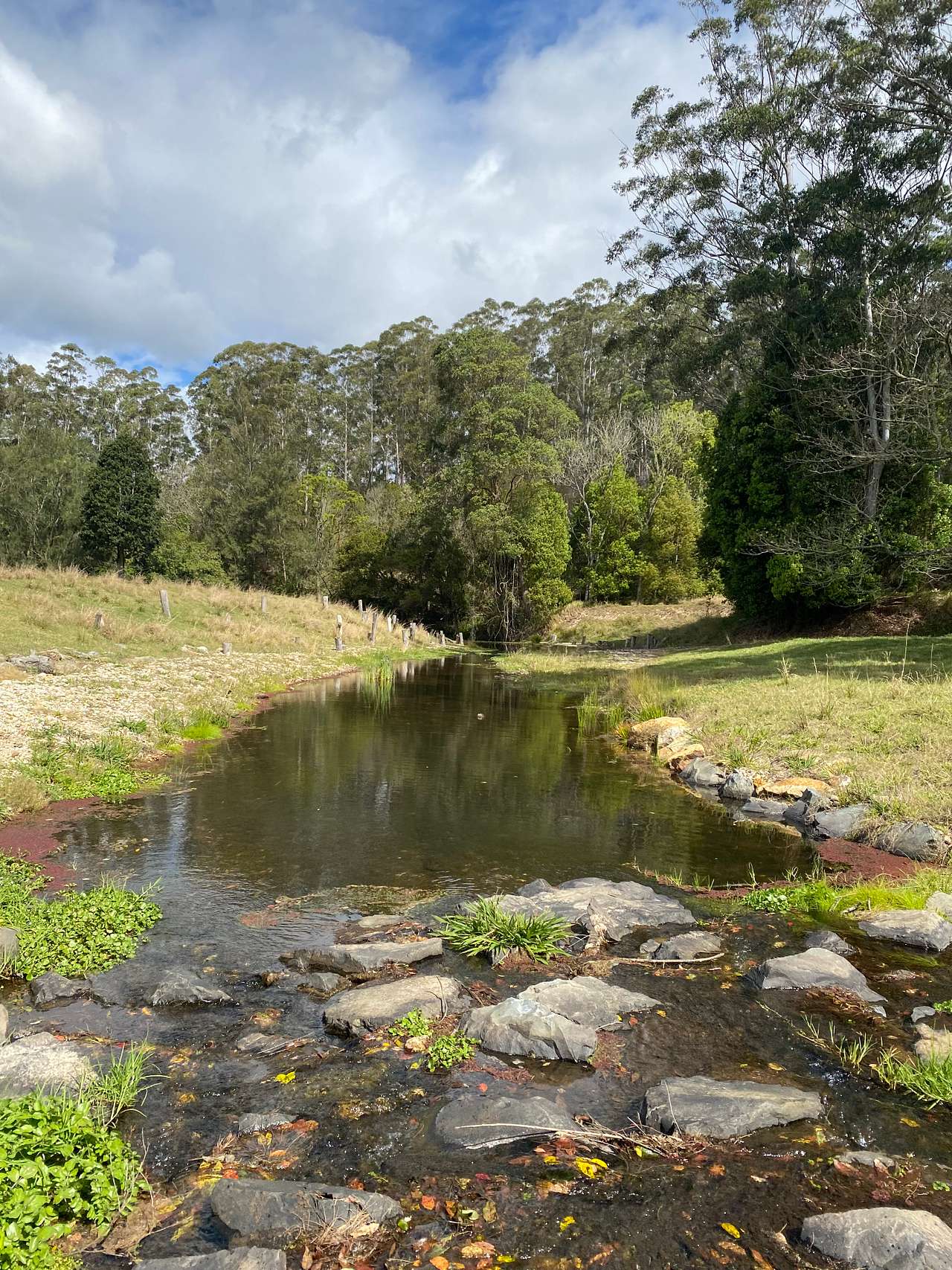 Yarrawin Camping