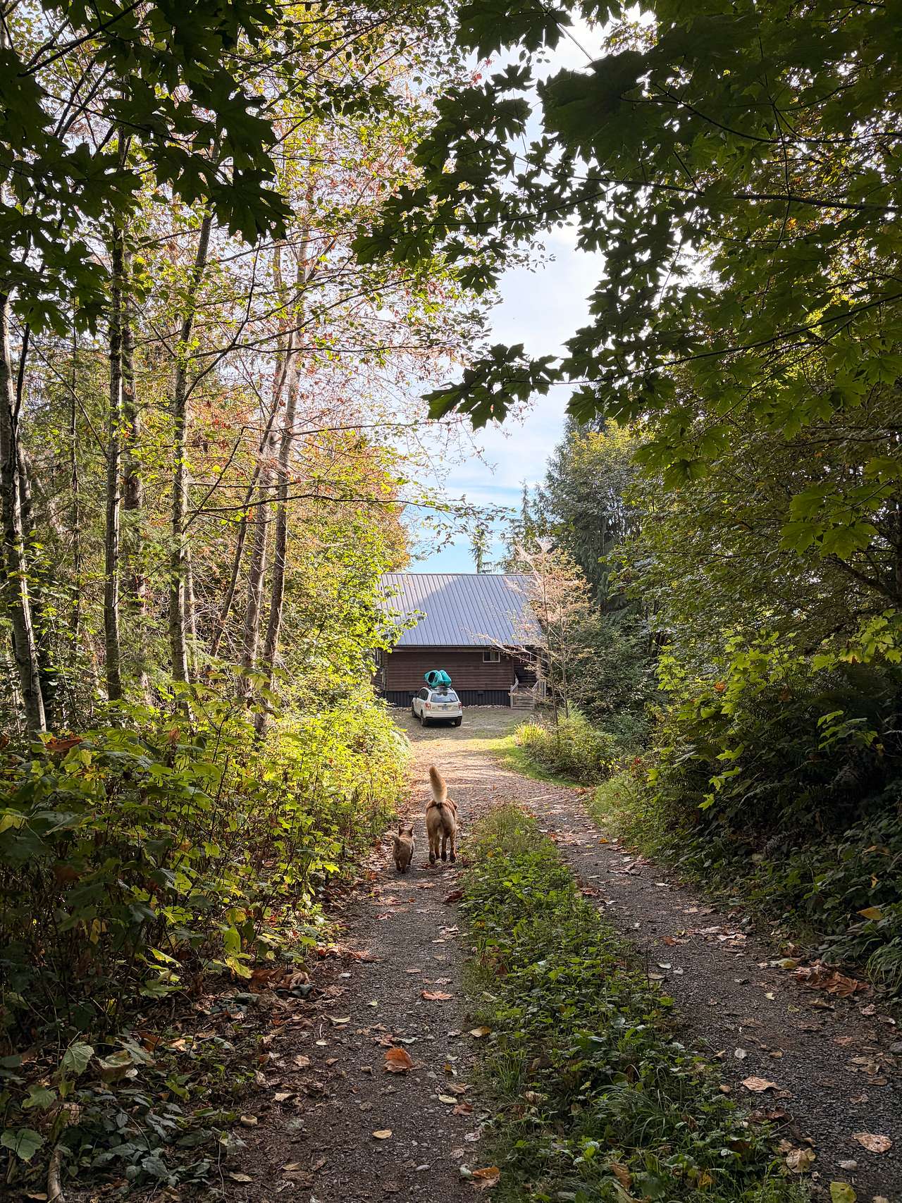 Clear Light Valley Retreat