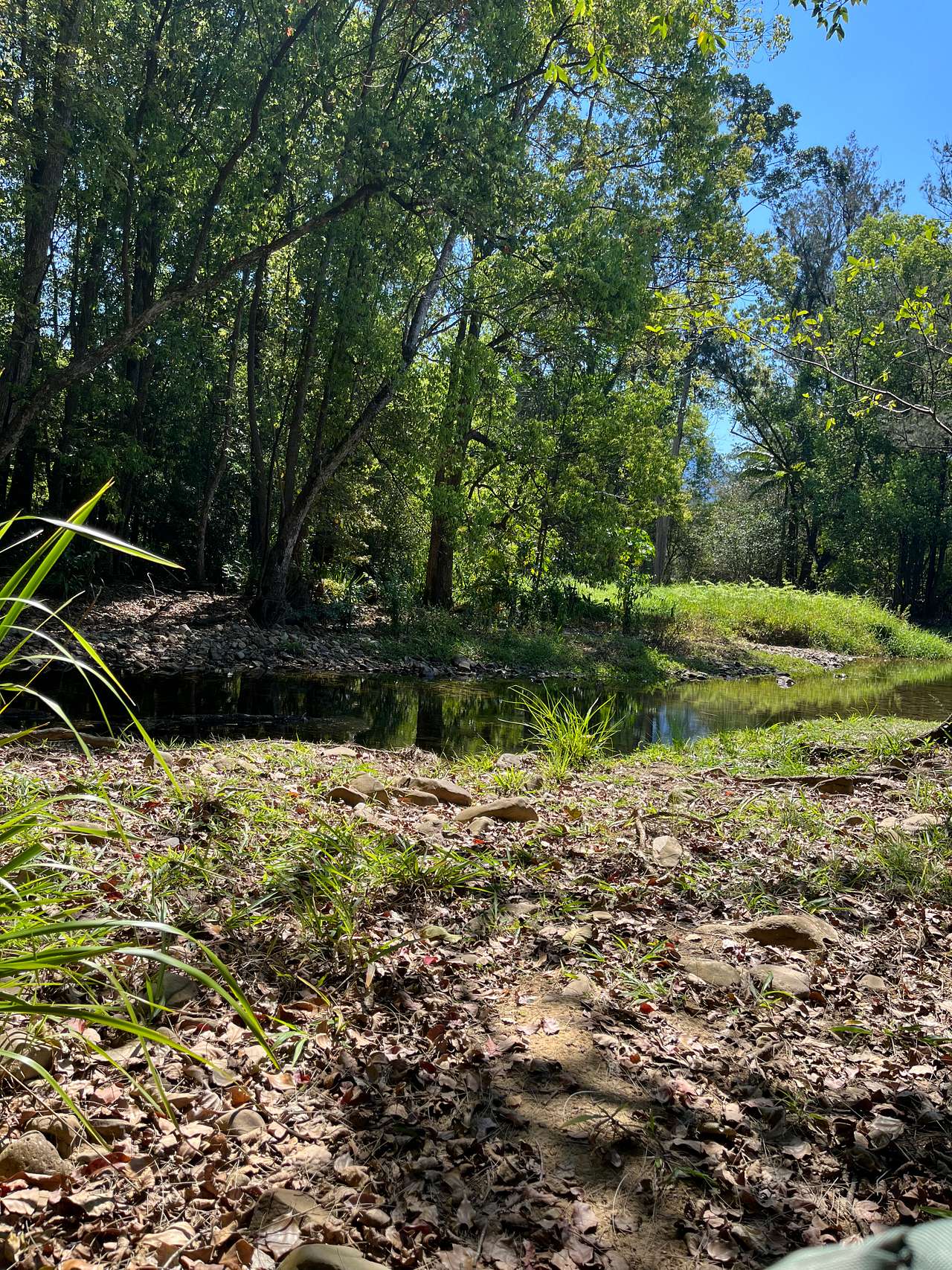 Crystal Creek Springs