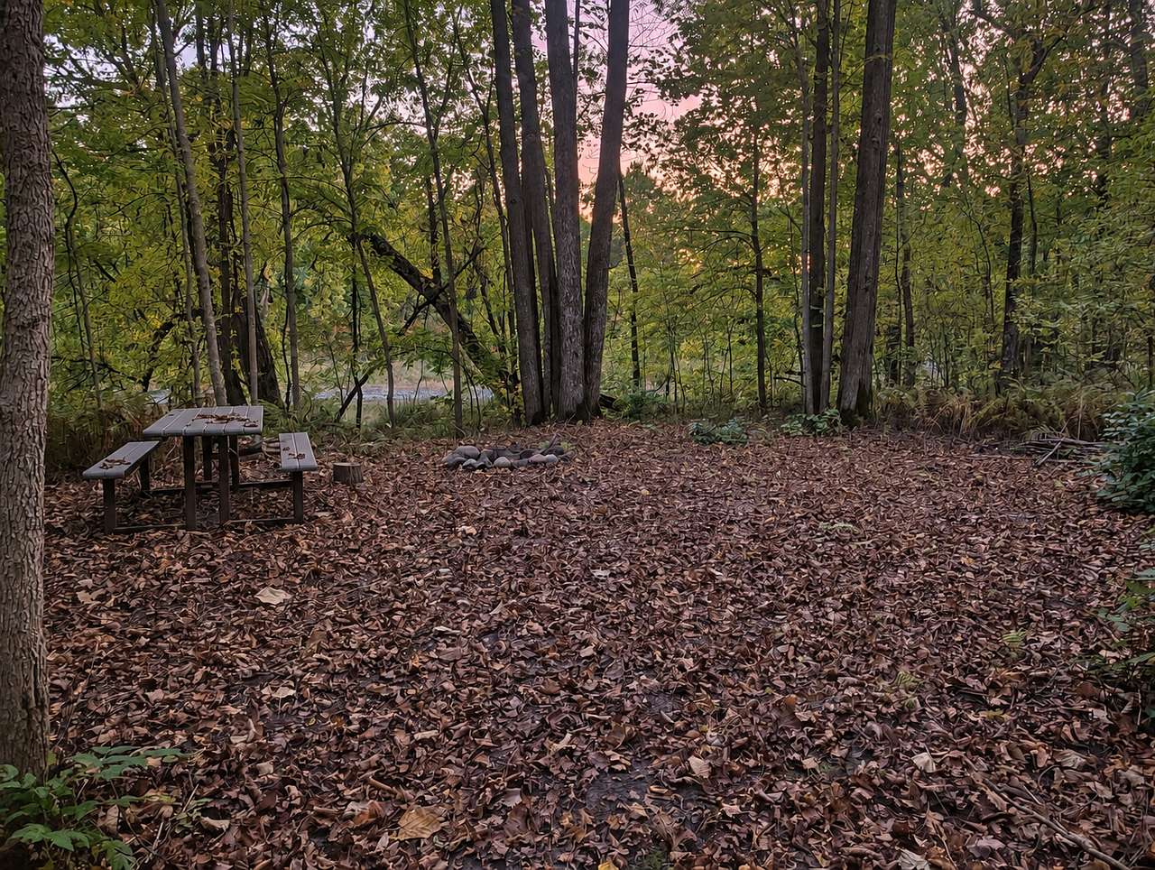 Picture of the site
