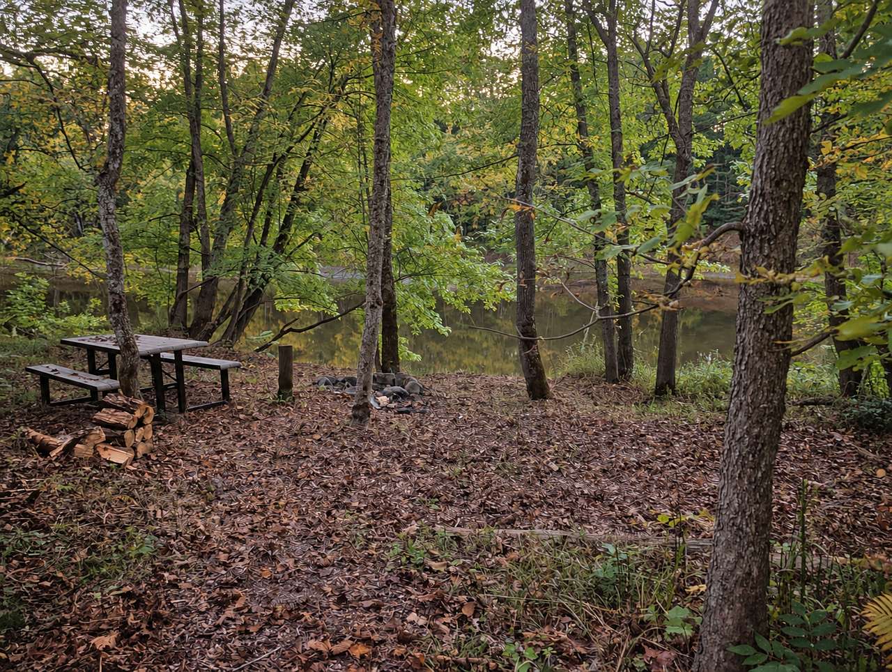 Picture of the site