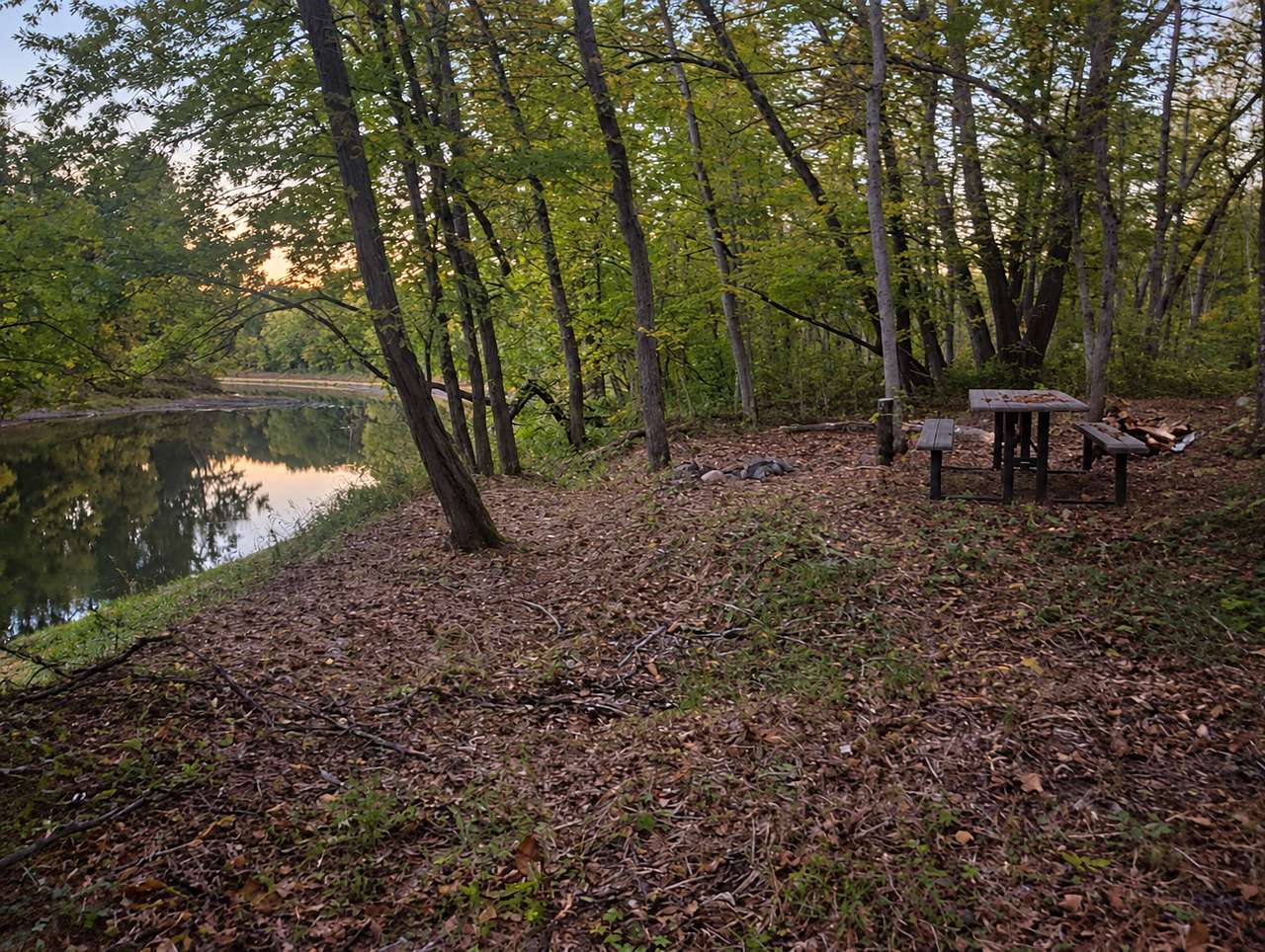 Picture of the site