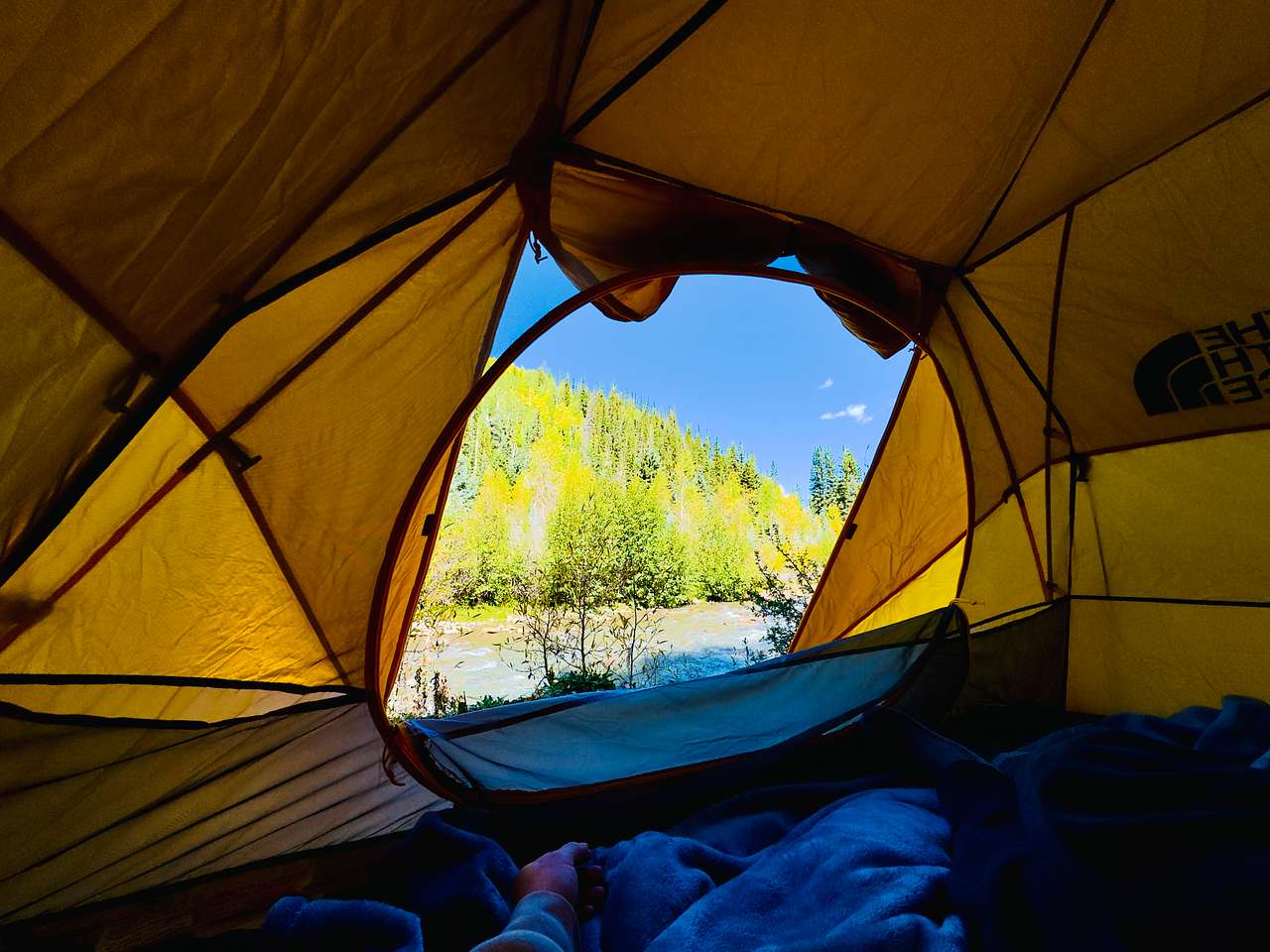Lazy Rooster Ranch