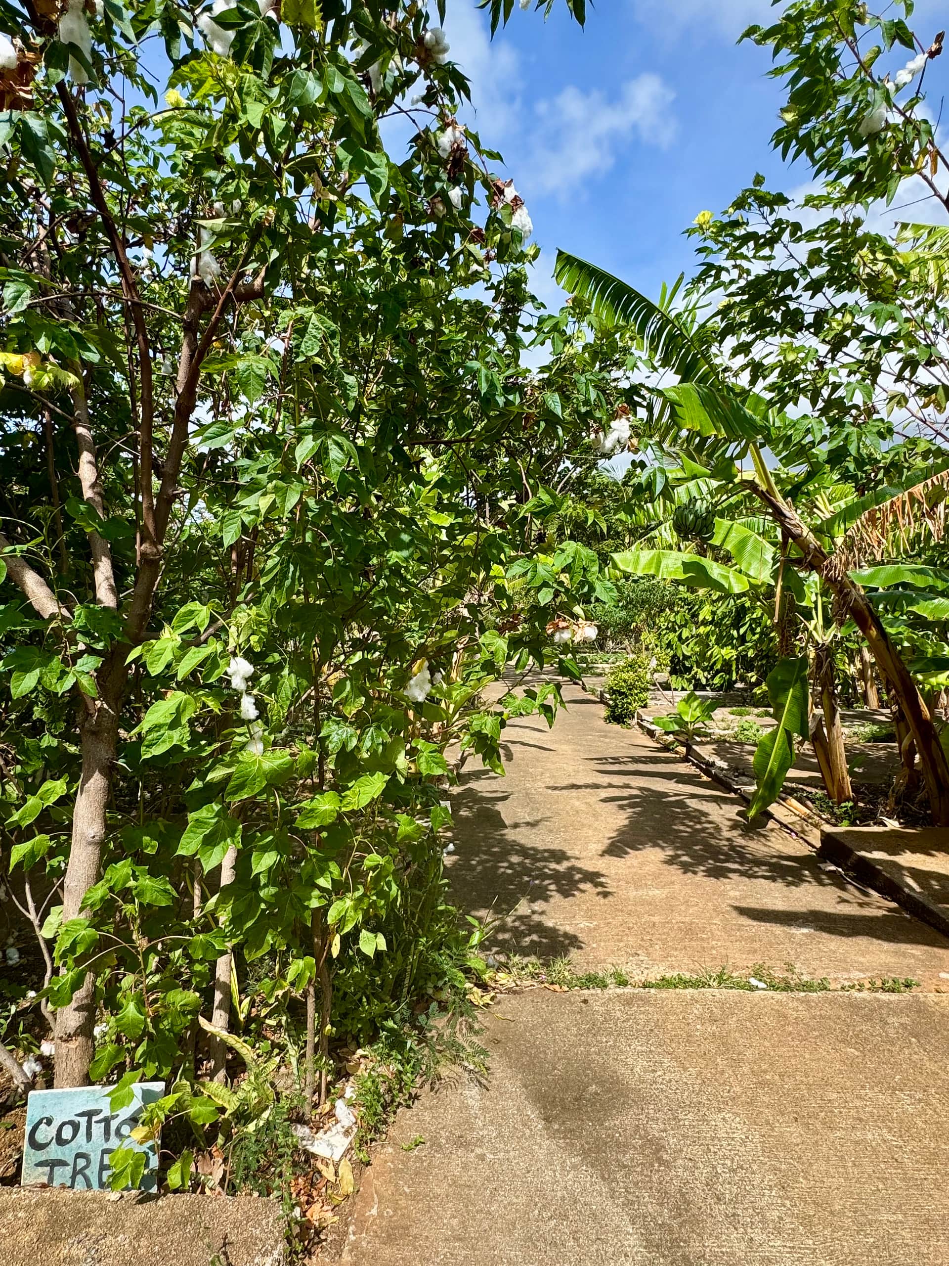 Sun Farm Hawaii @ Koko Head
