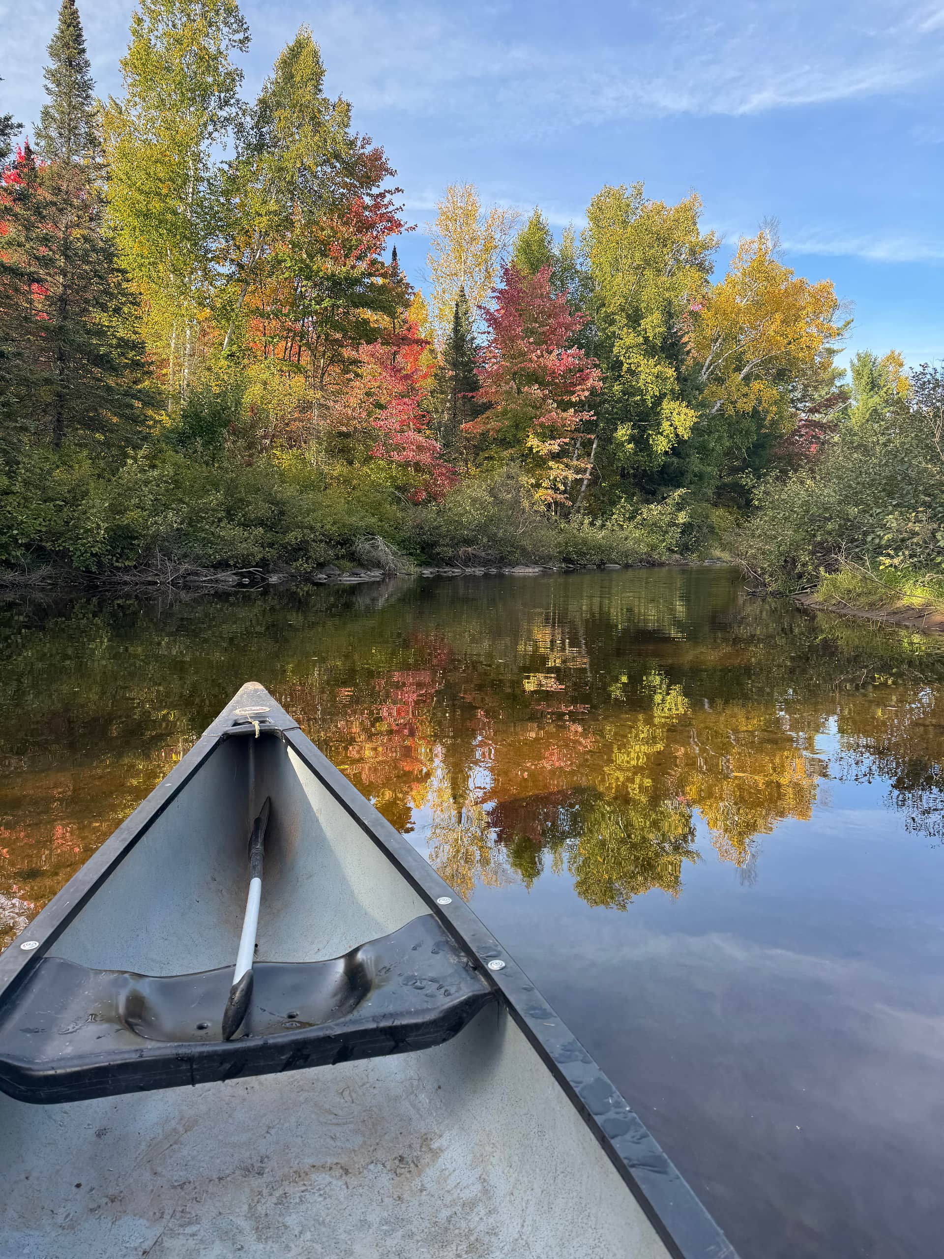 Bad River Wilderness