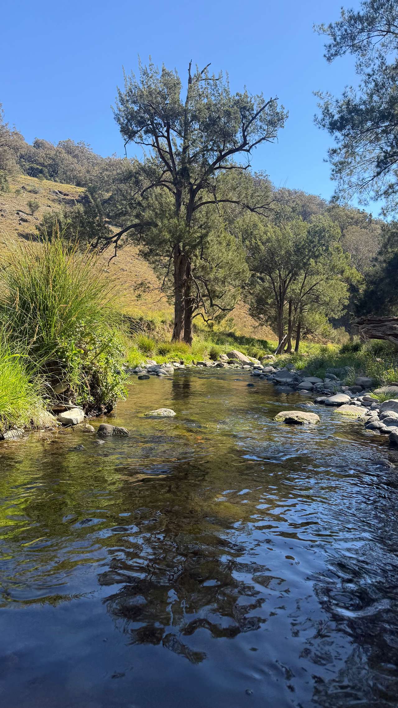 Glenbrook Park
