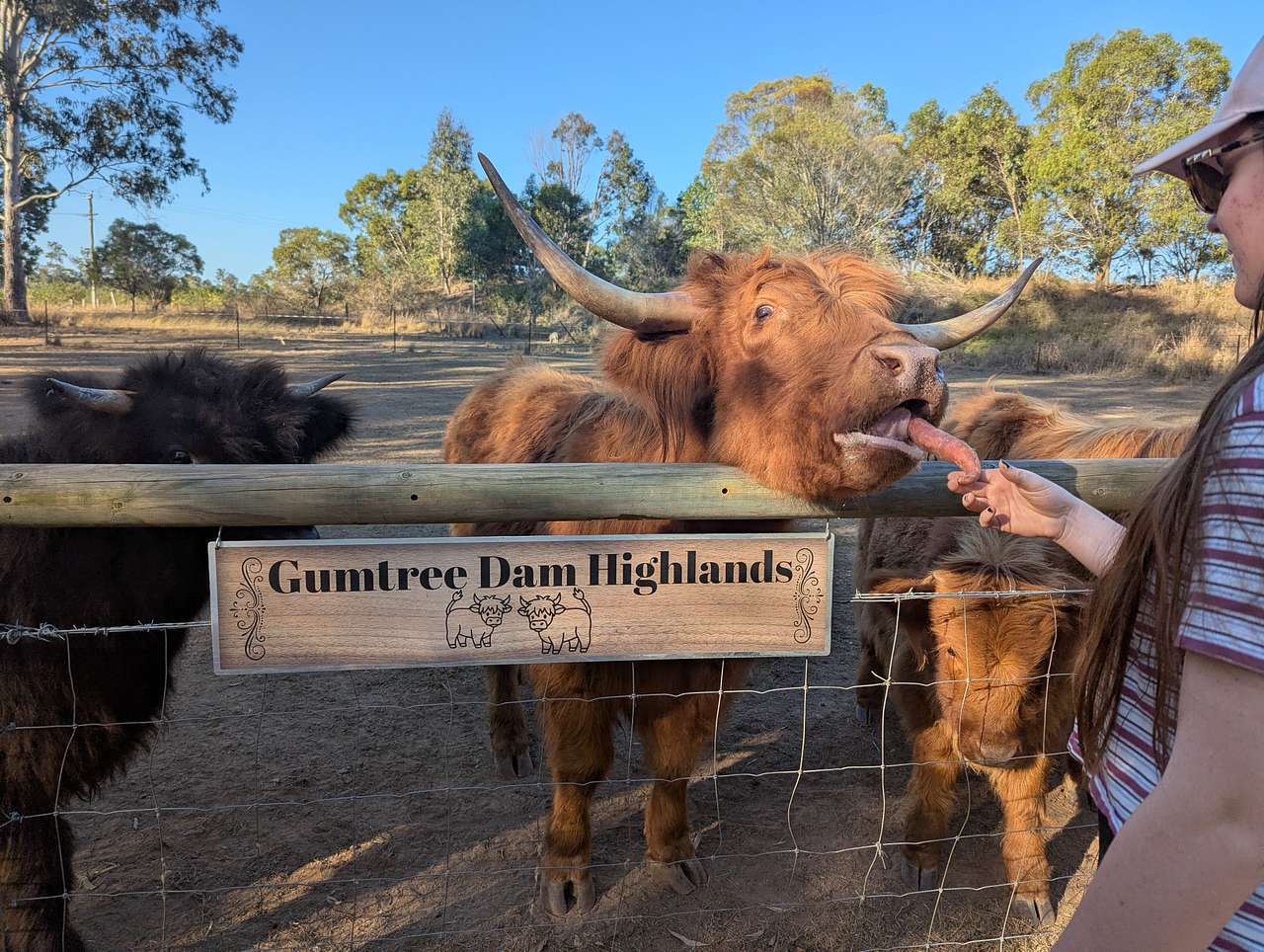 Gumtree Dam Highlands