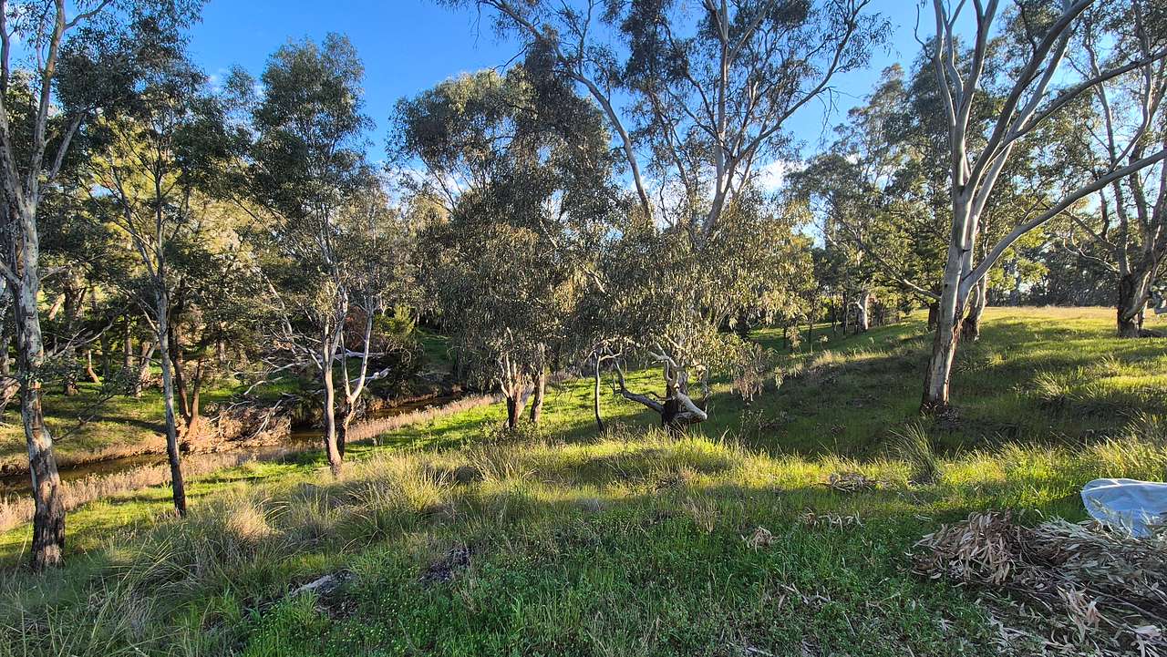 Cadagi Farm Stay in Central West NSW