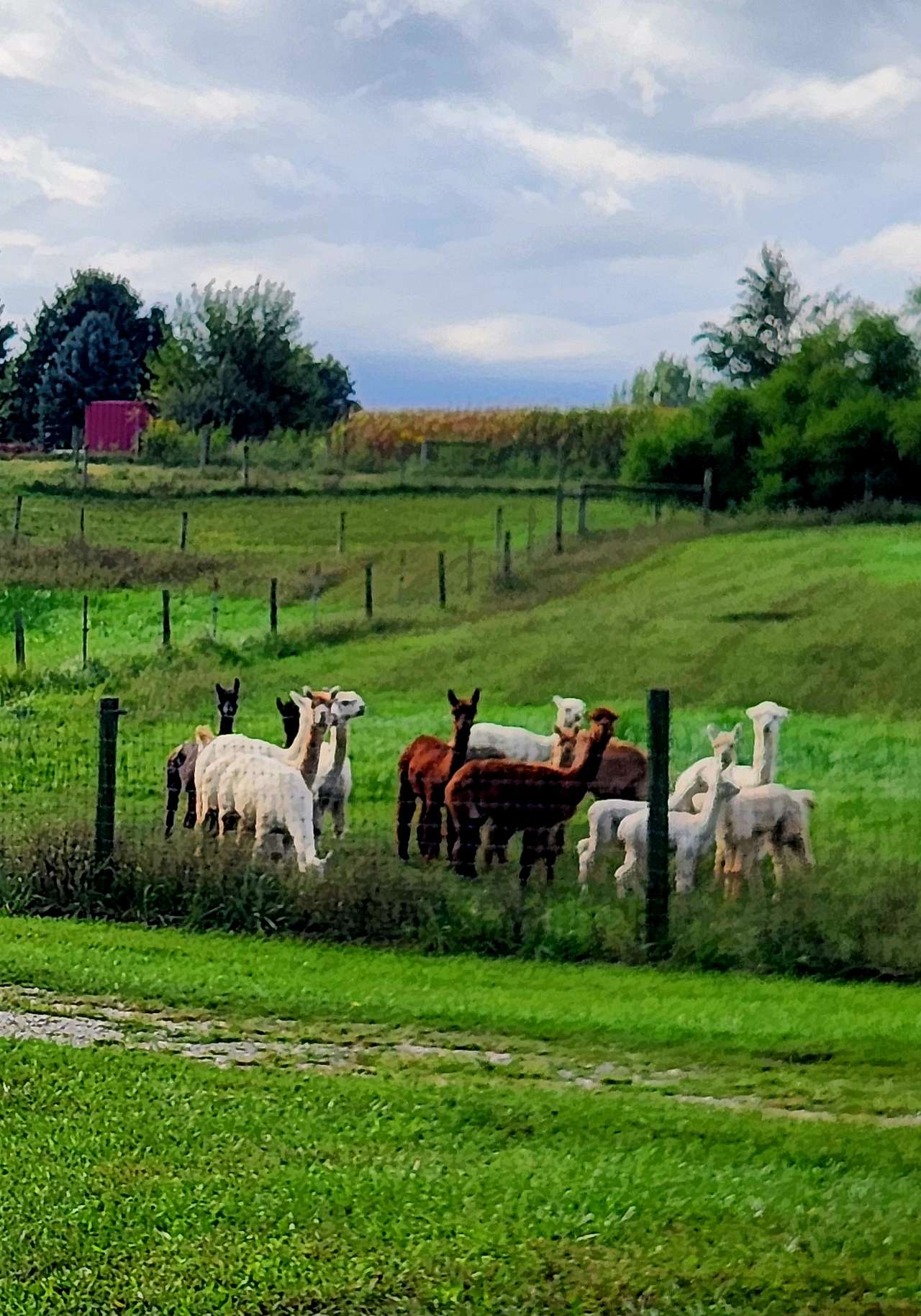 Heritage Farm Stay Adventure