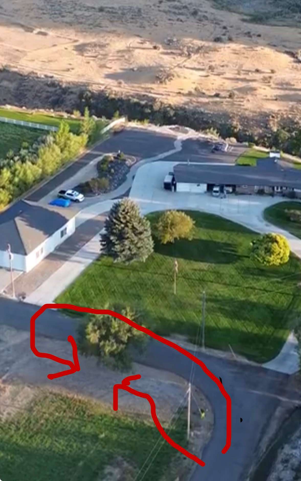 Picture of the site