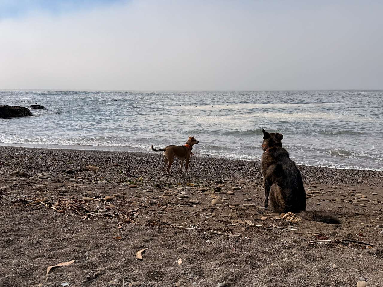 Timber Cove Campground