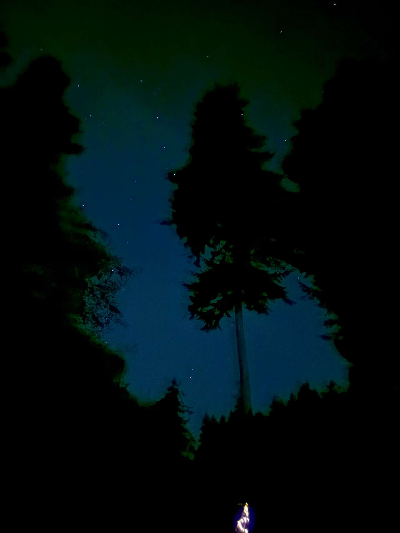 Stars on display