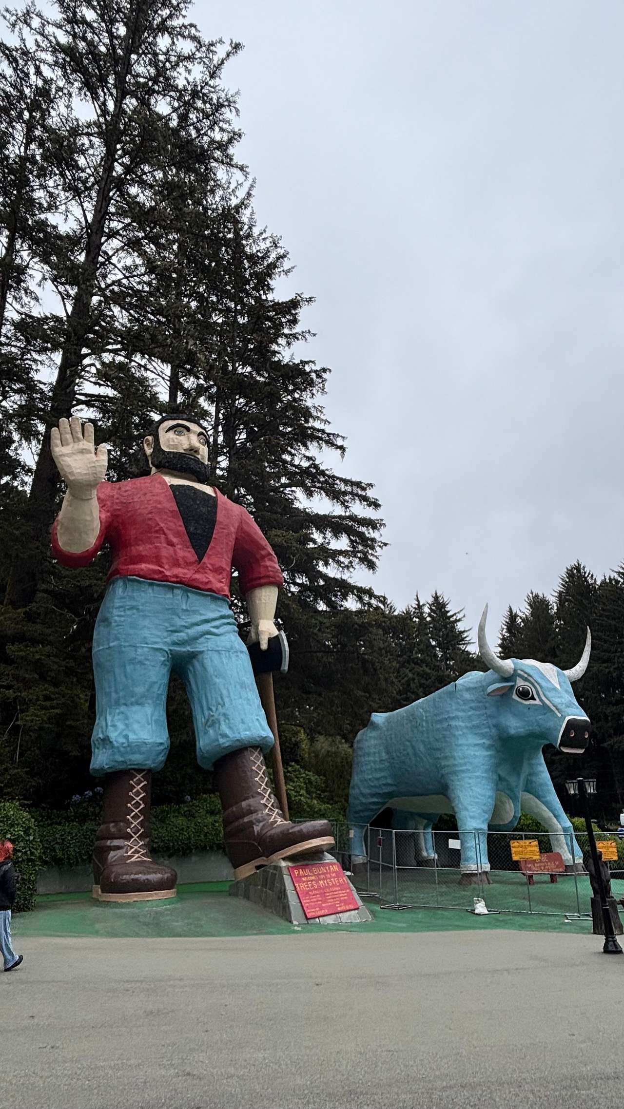 Mystic Forest Campground
