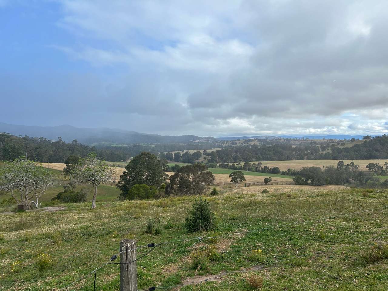 Sapphire Coast Dairy-Homestead