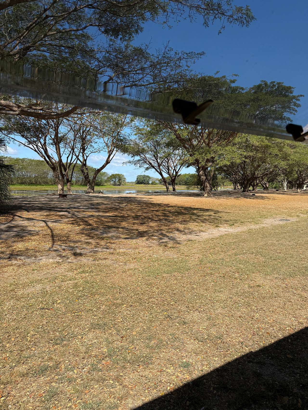 Mount Surround Campground