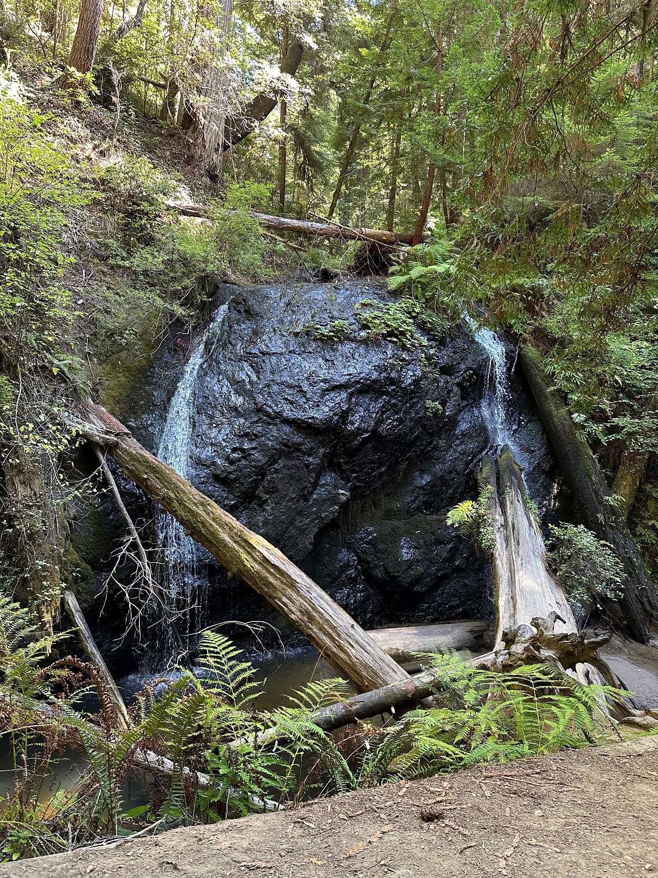 Waterfall hike