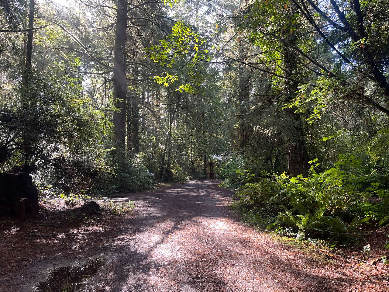 Mystic Forest Campground