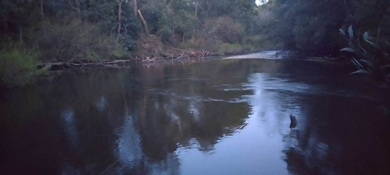 Platypus pond
