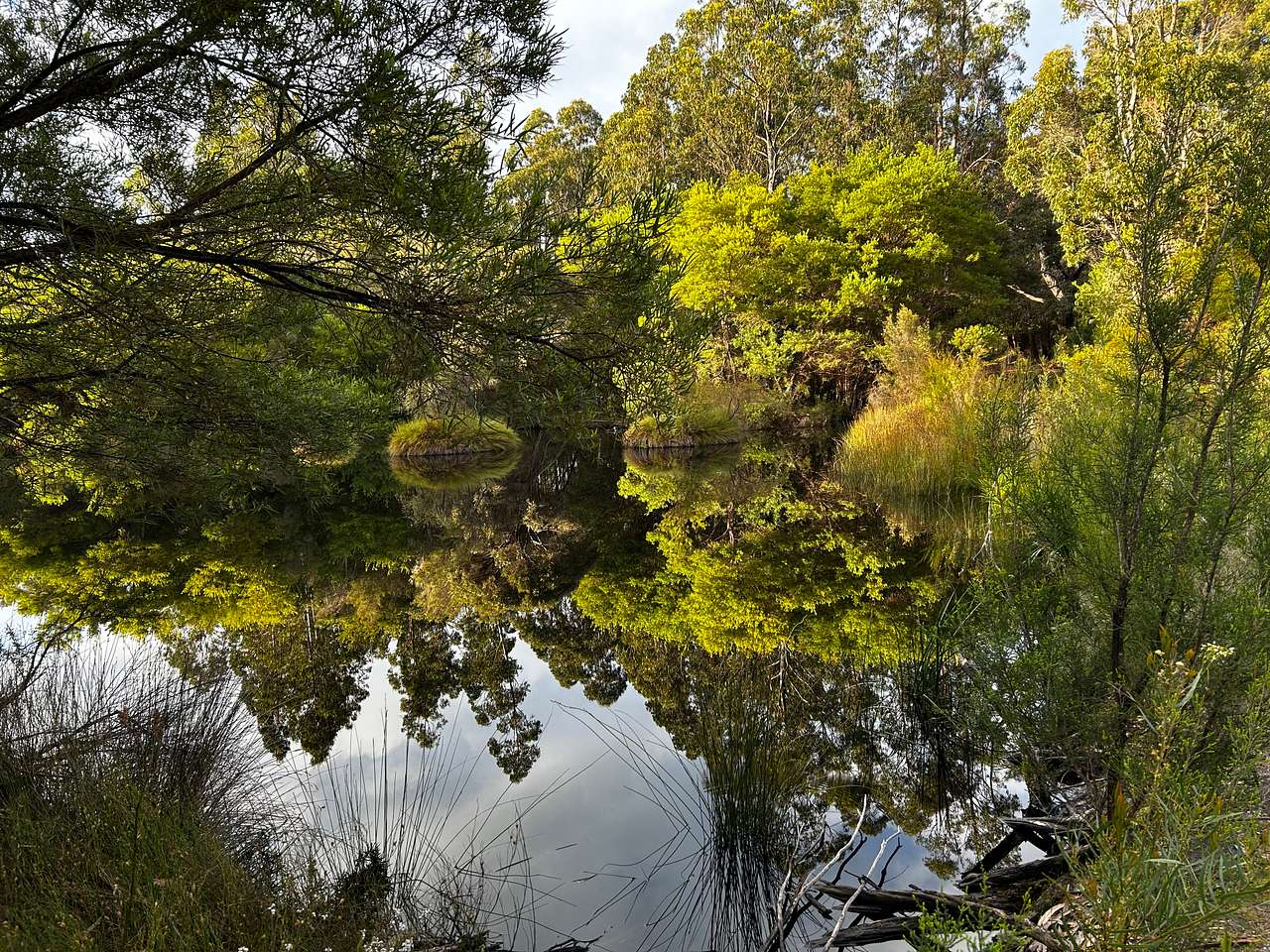 Northcliffe Deluxe Bush Camp