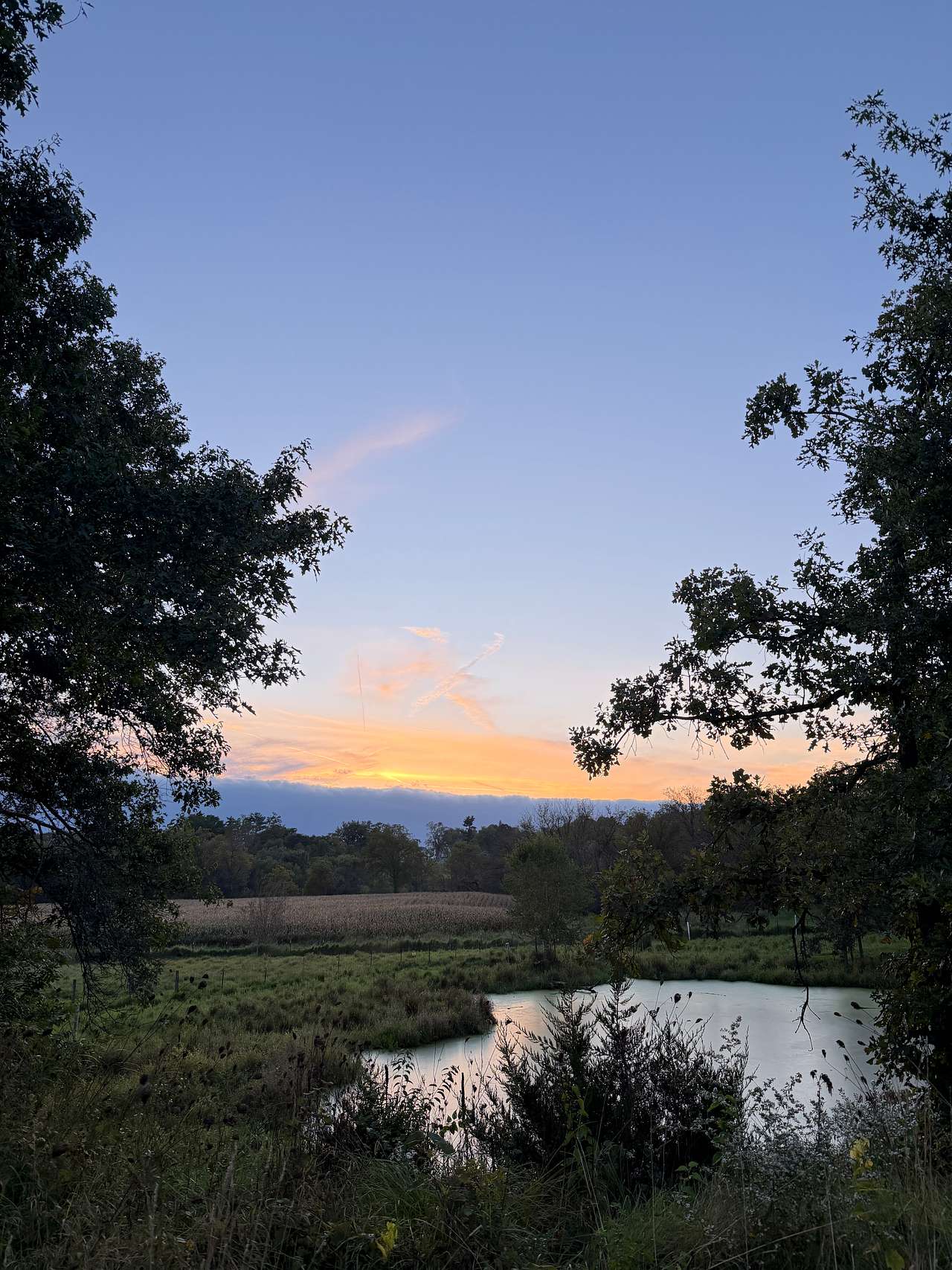 Circle M Farm Stay: Camp or Glamp