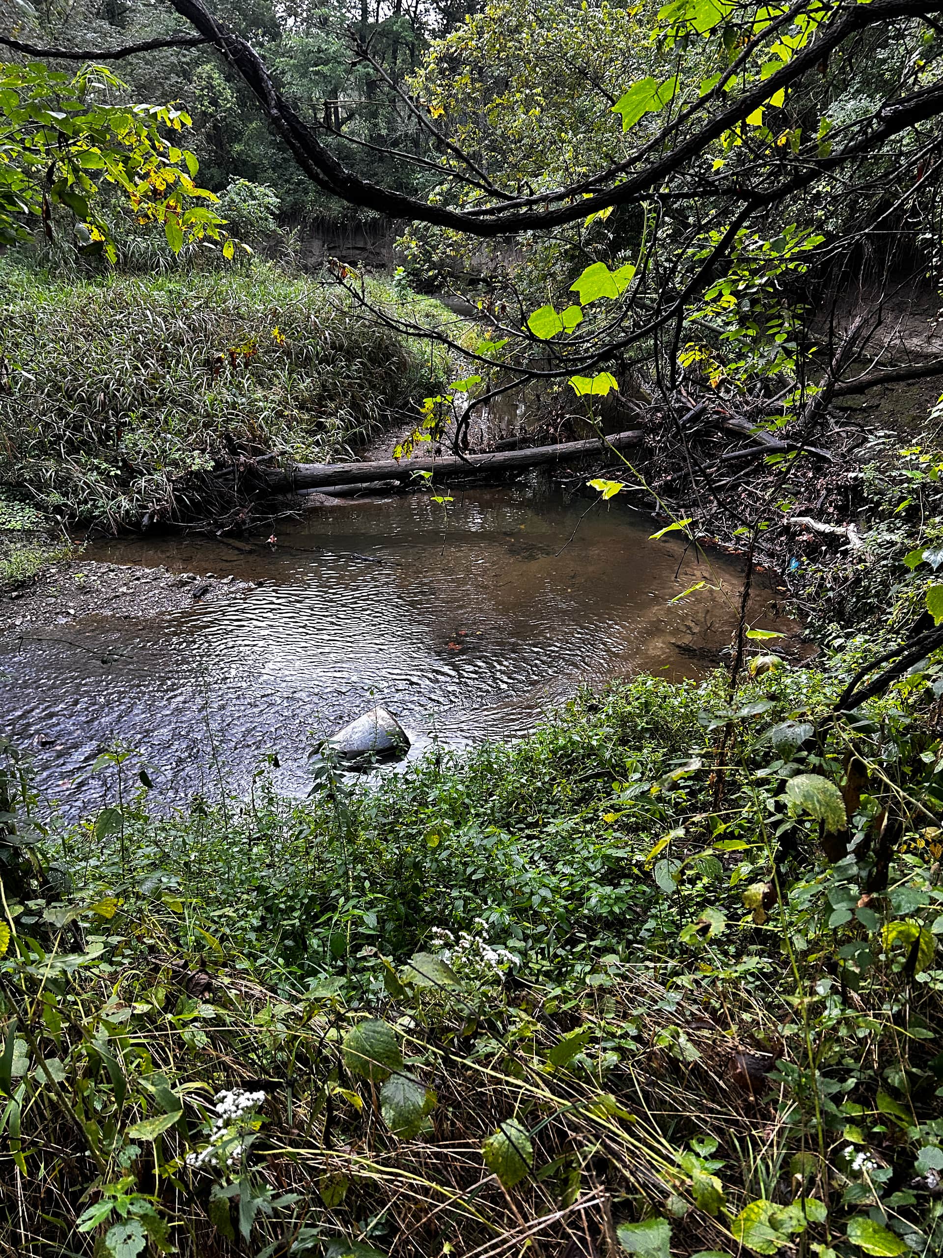 Wild Rest Sanctuary
