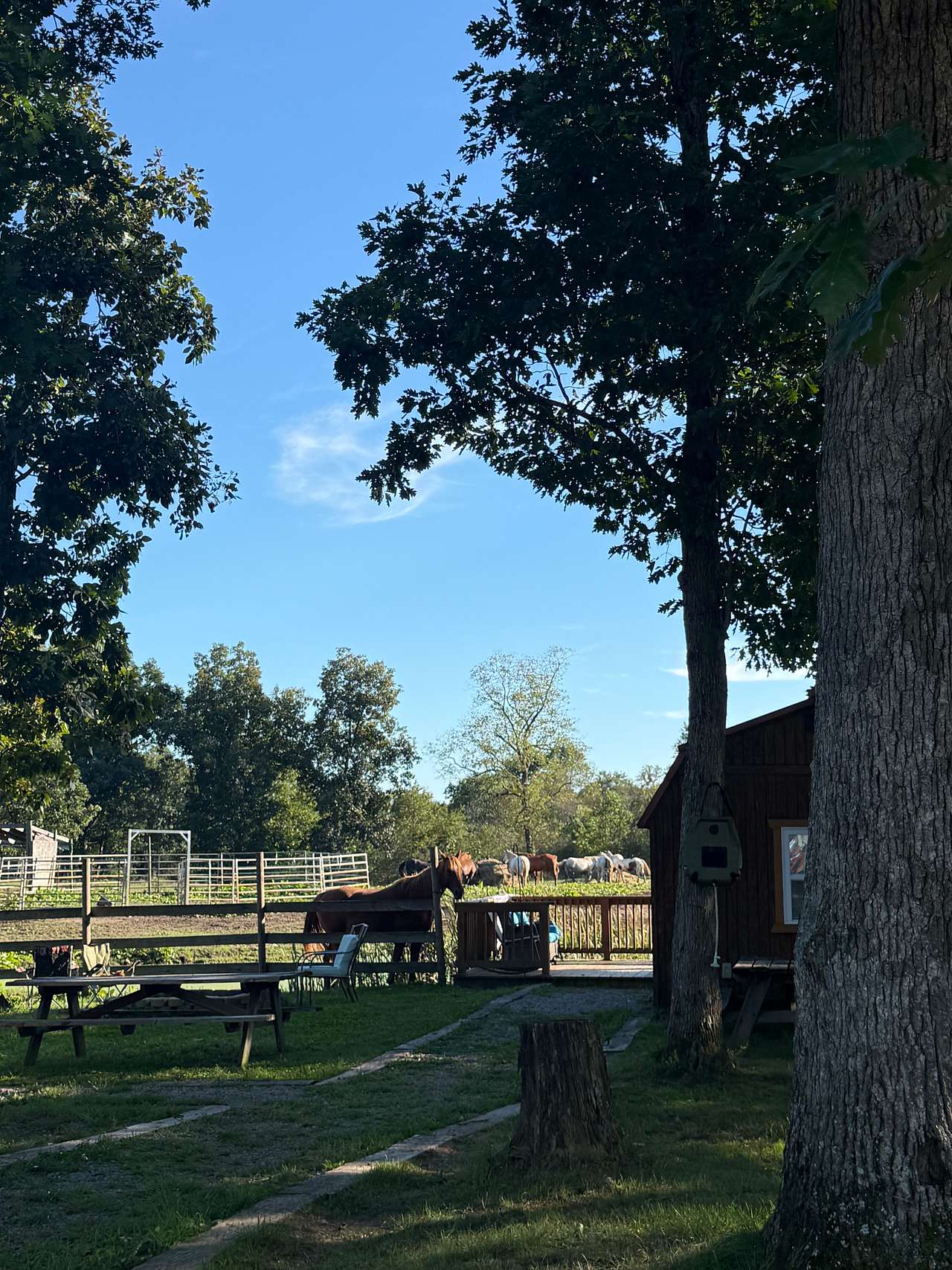 DLR Mustang Ranch