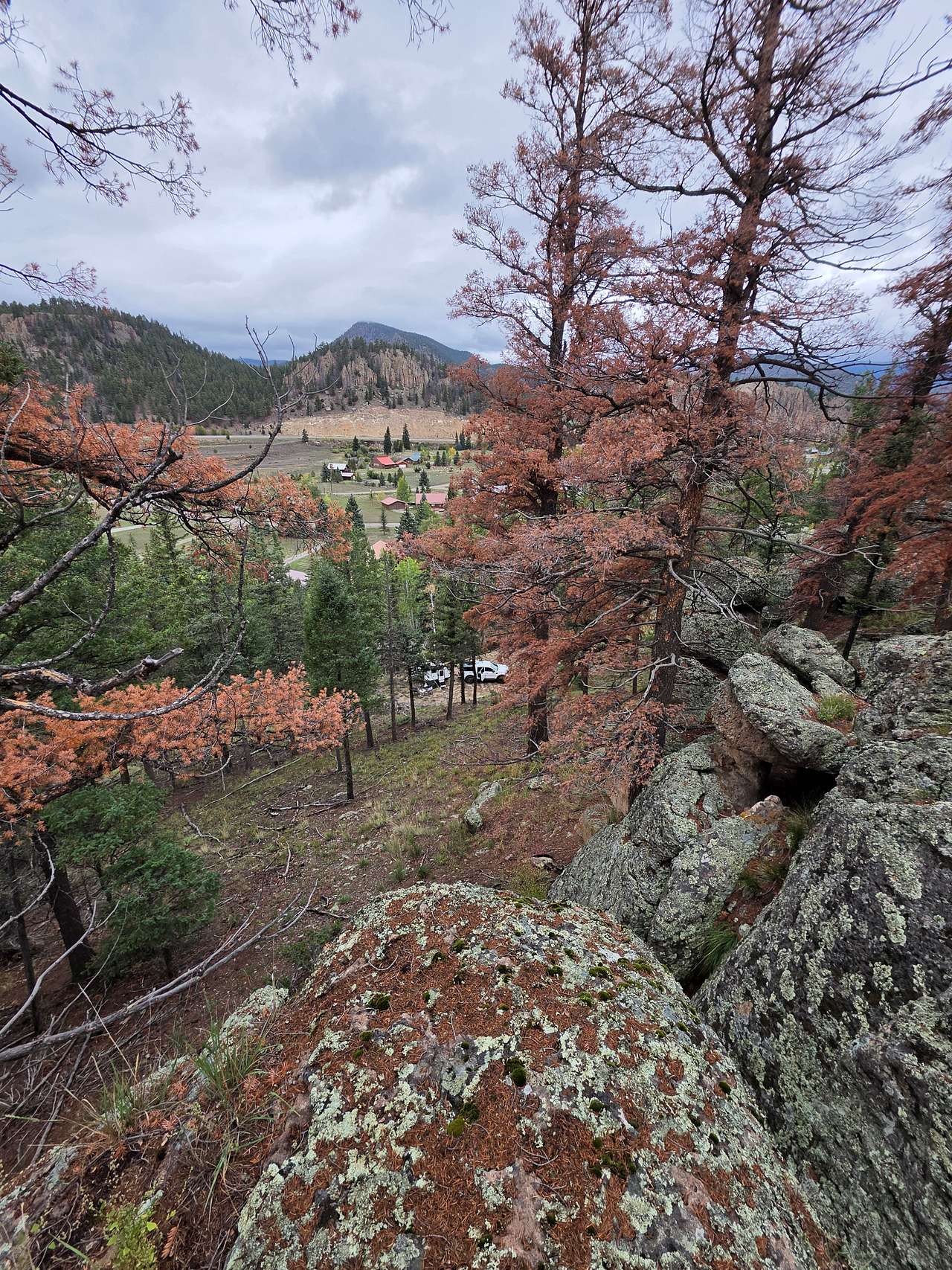 Rio Grande Forest Private Basecamp