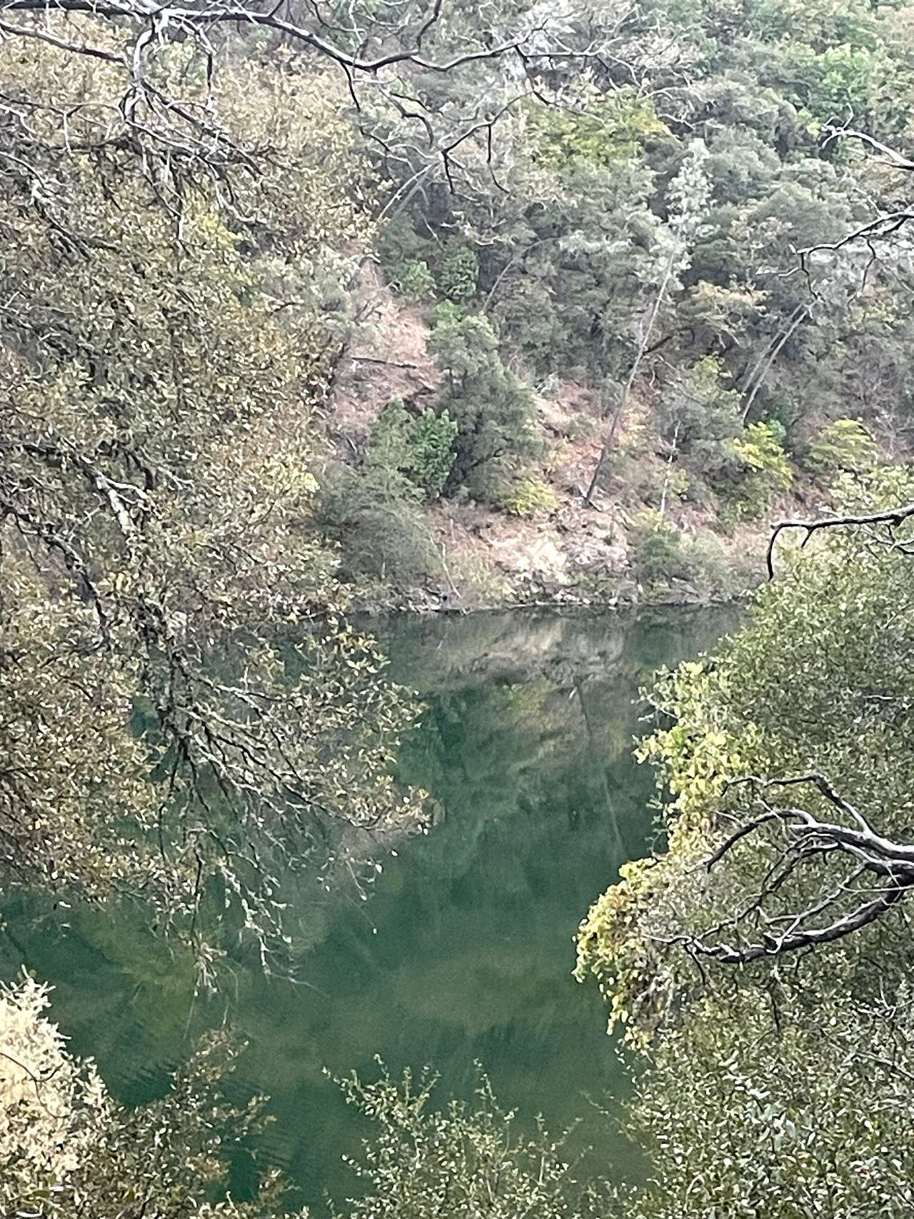 Camp Wildlands Yuba