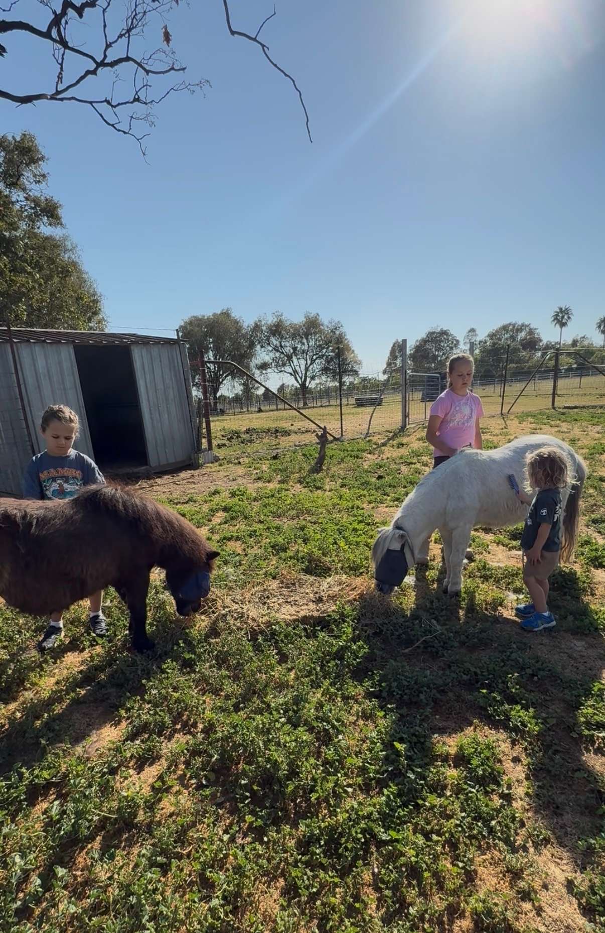 Sheffield B&B Farm stay Tamworth