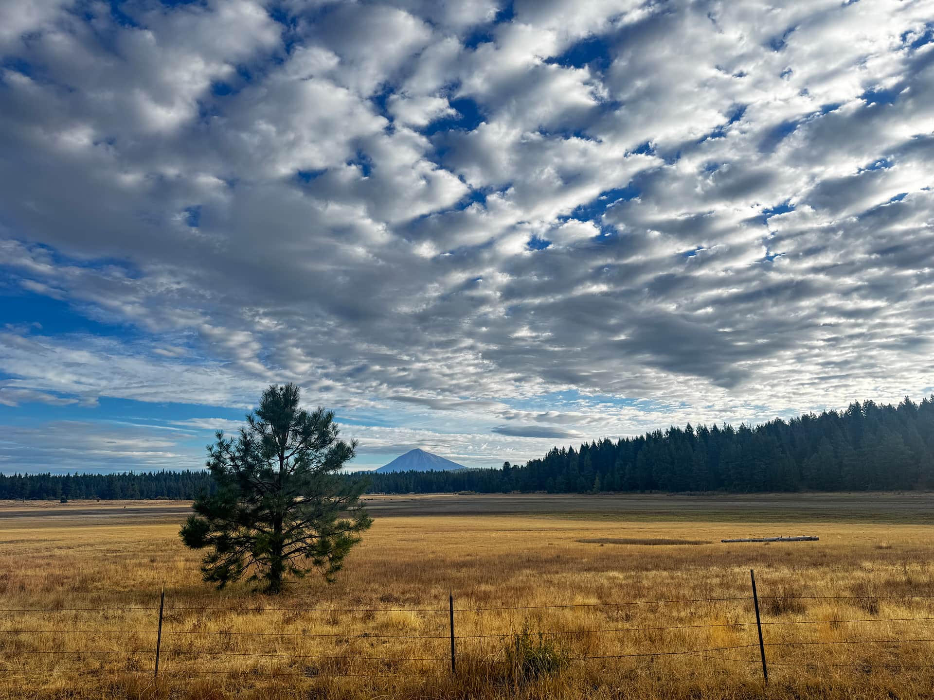 Willowdale Ranch