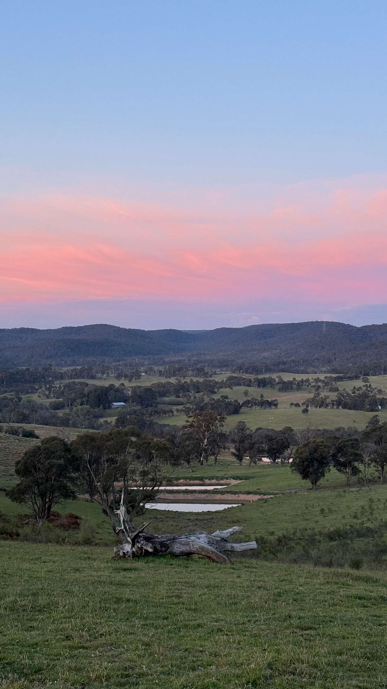 Sunset views 