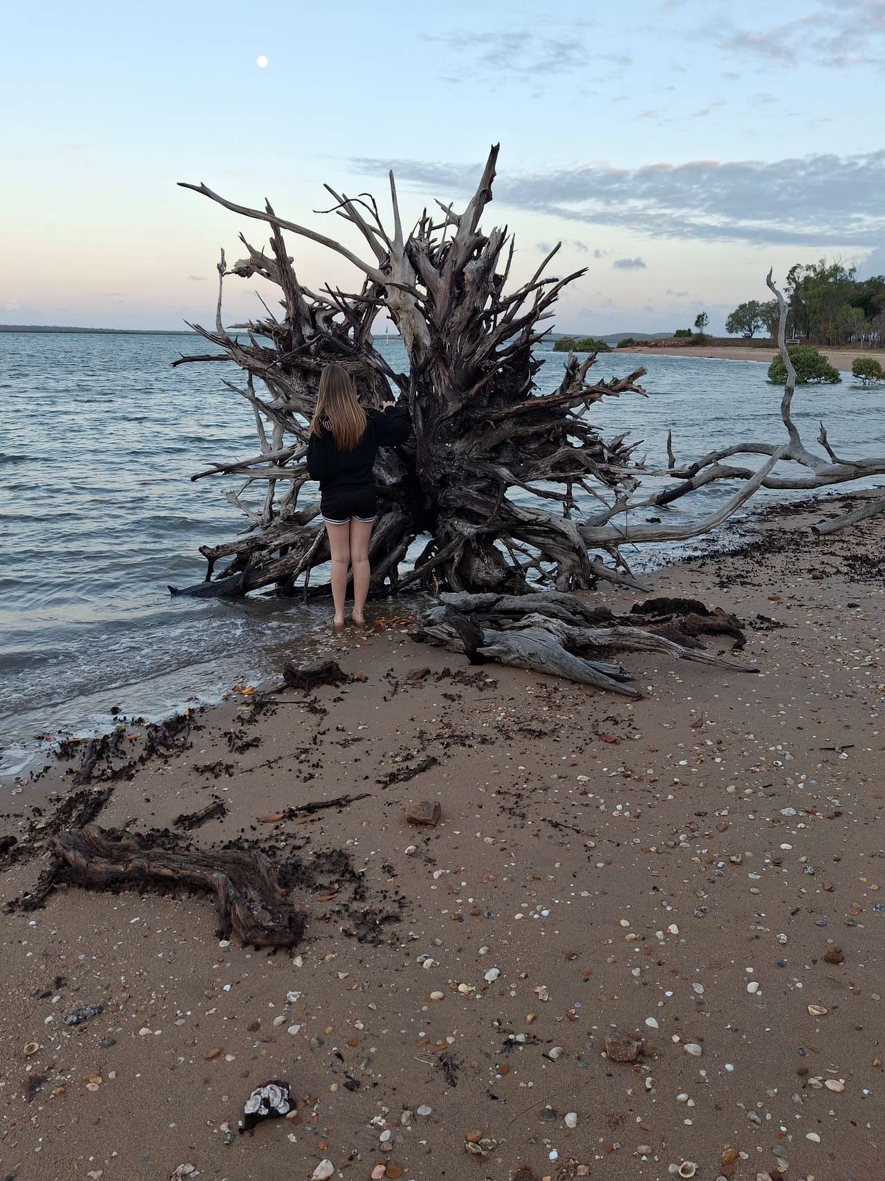 Muddy Bucks on the Bay
