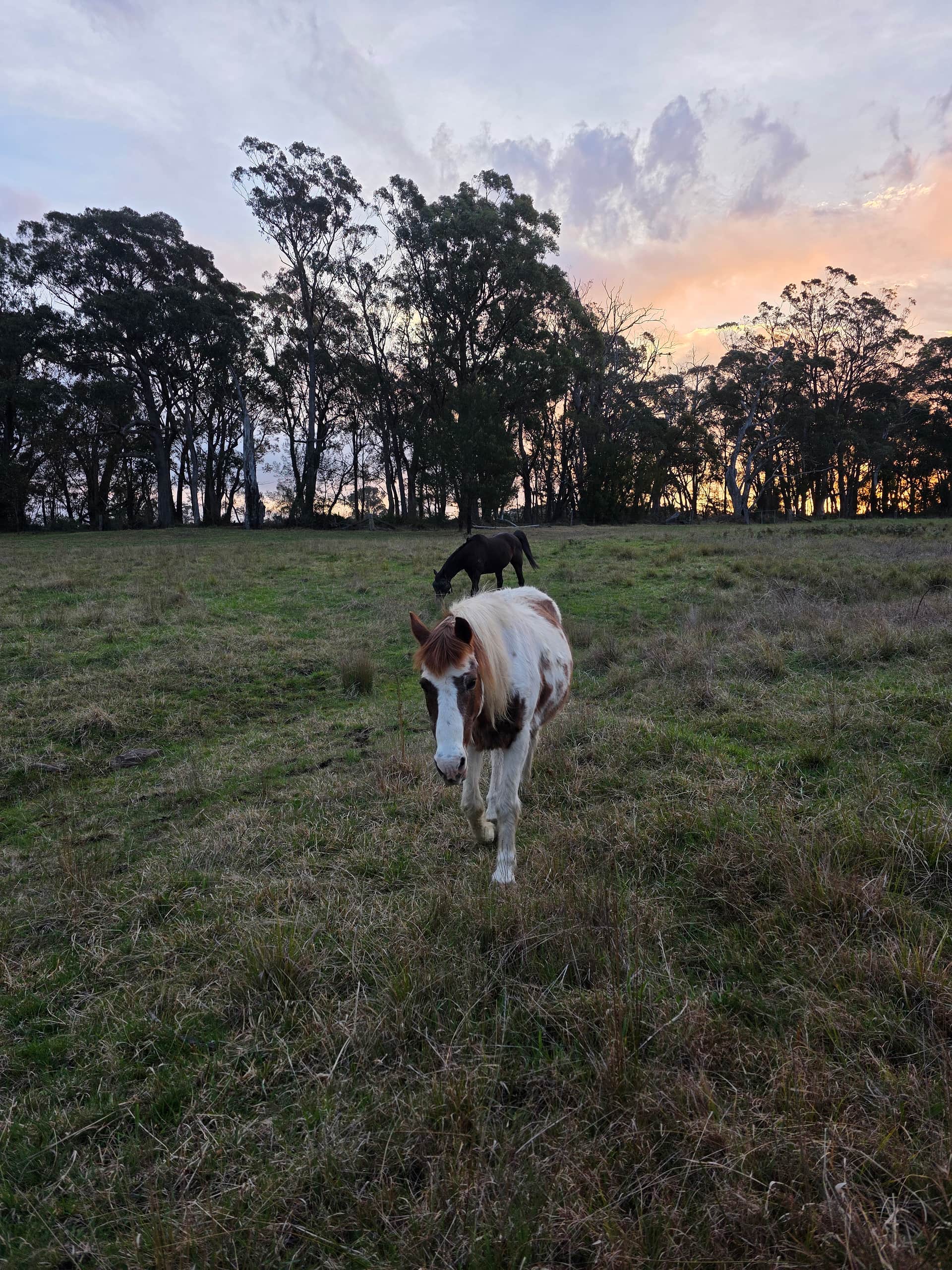 Hidden Brook Southern Highlands NSW