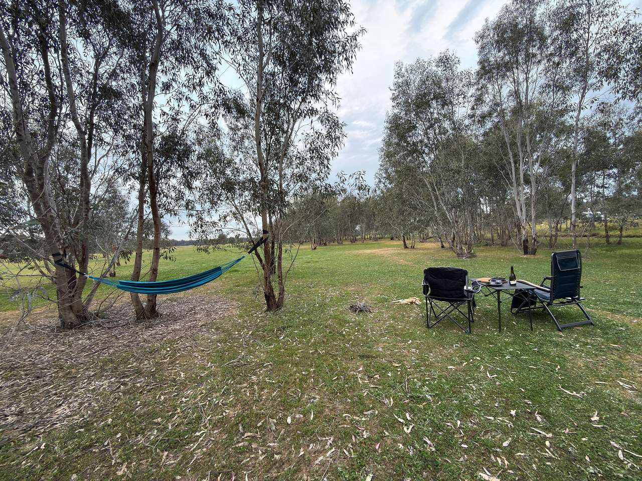 Somerville Park (Bendigo)