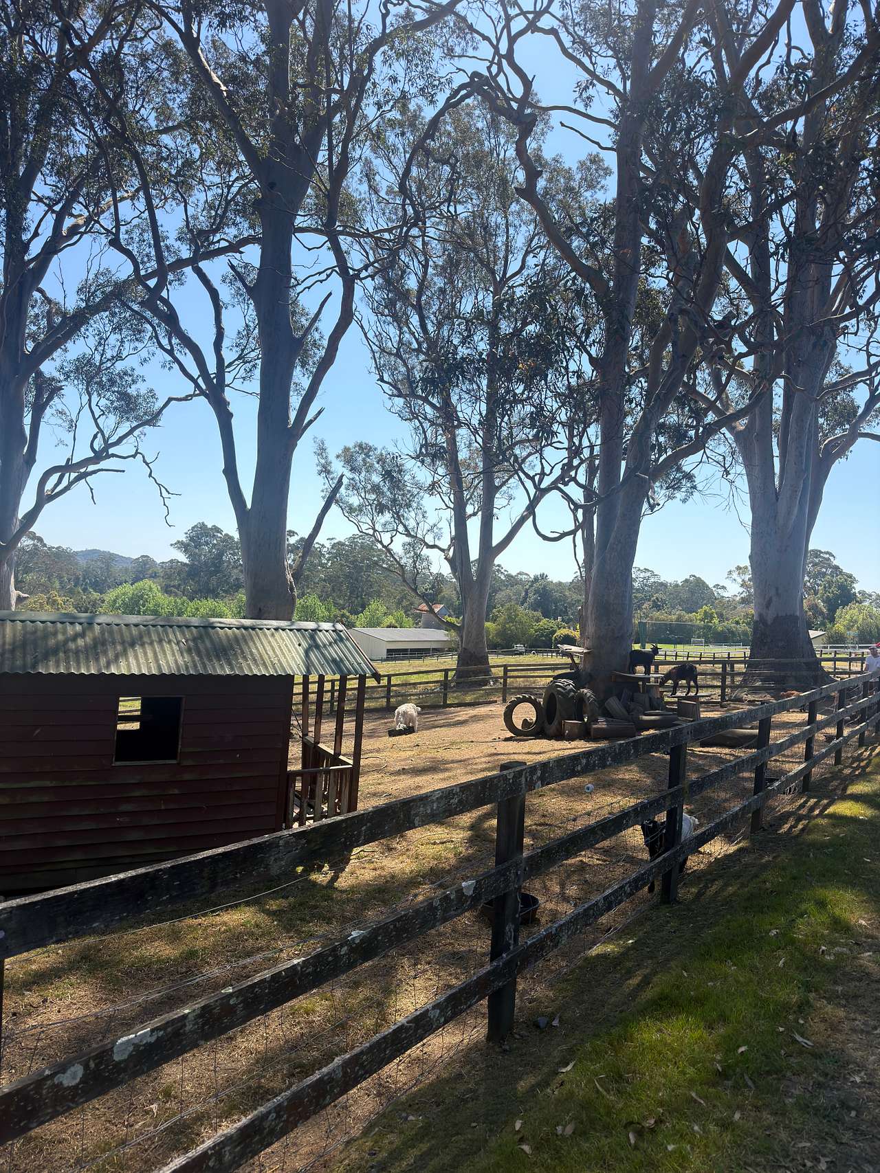 Yarramalong Valley Horse Farmstay