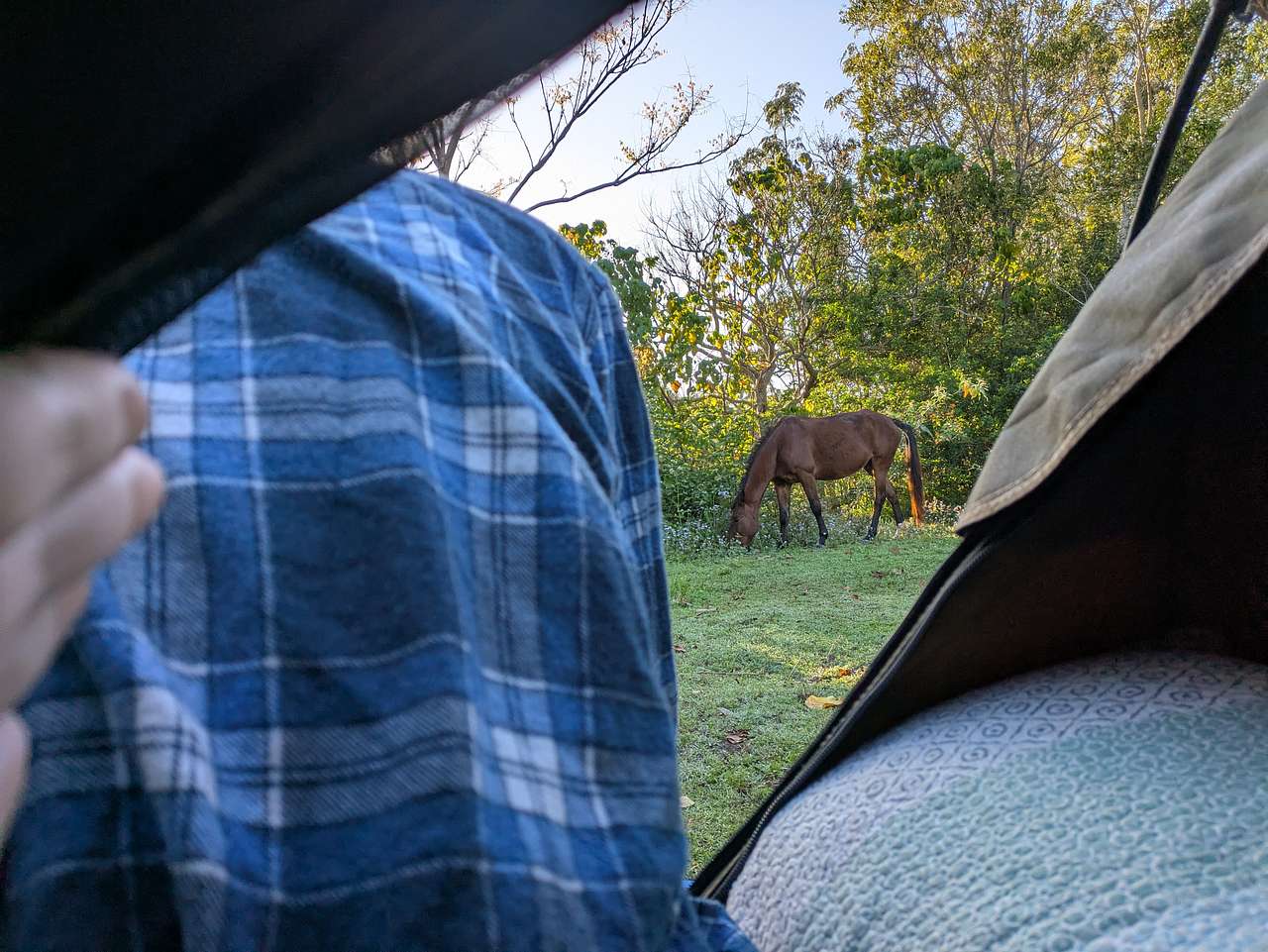 Wild Horse Retreat