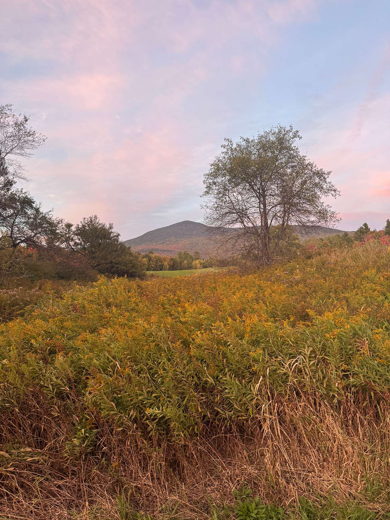 OneRiver Farm, Lincoln, Vermont