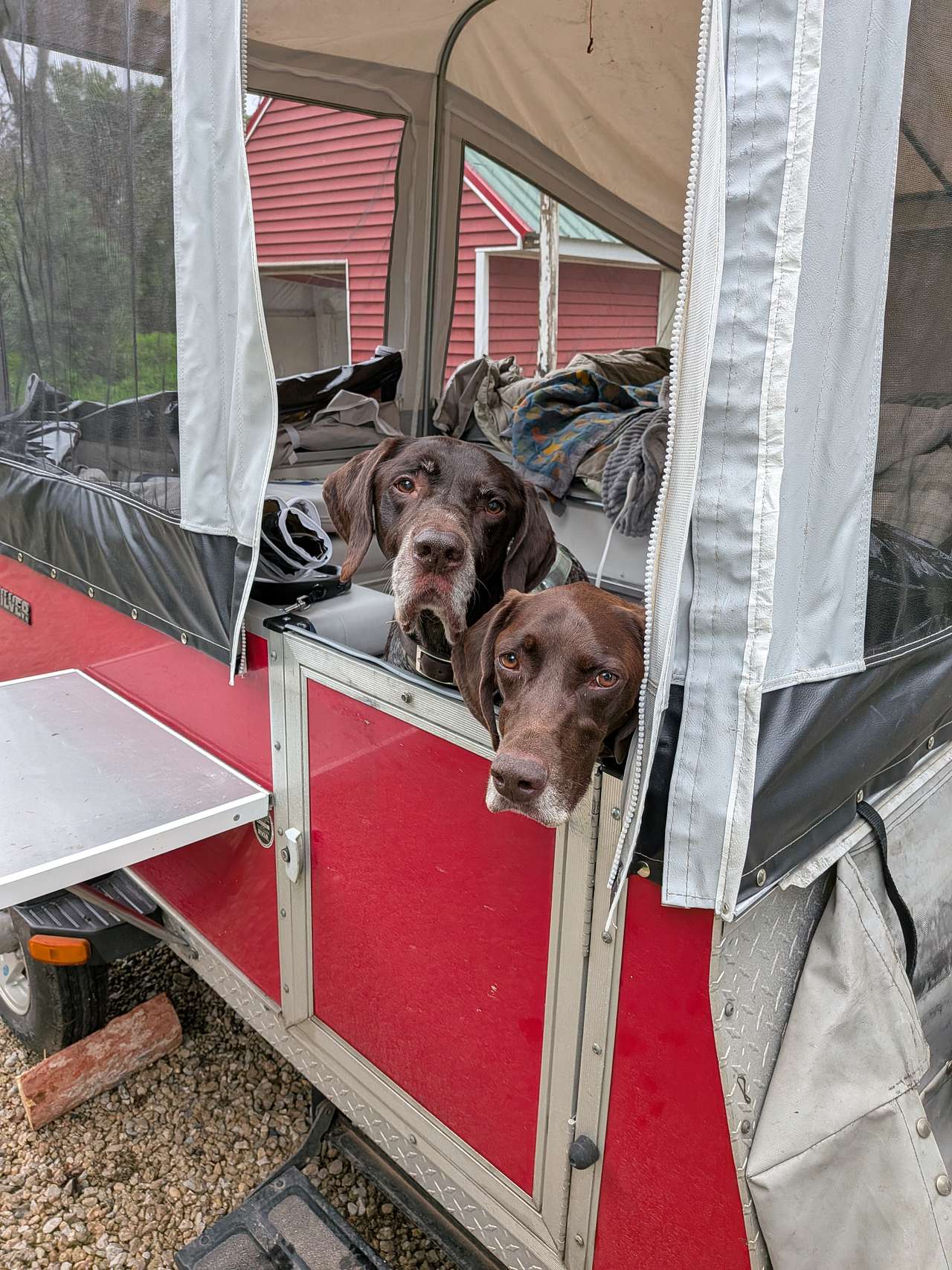 Greenhouse Camping