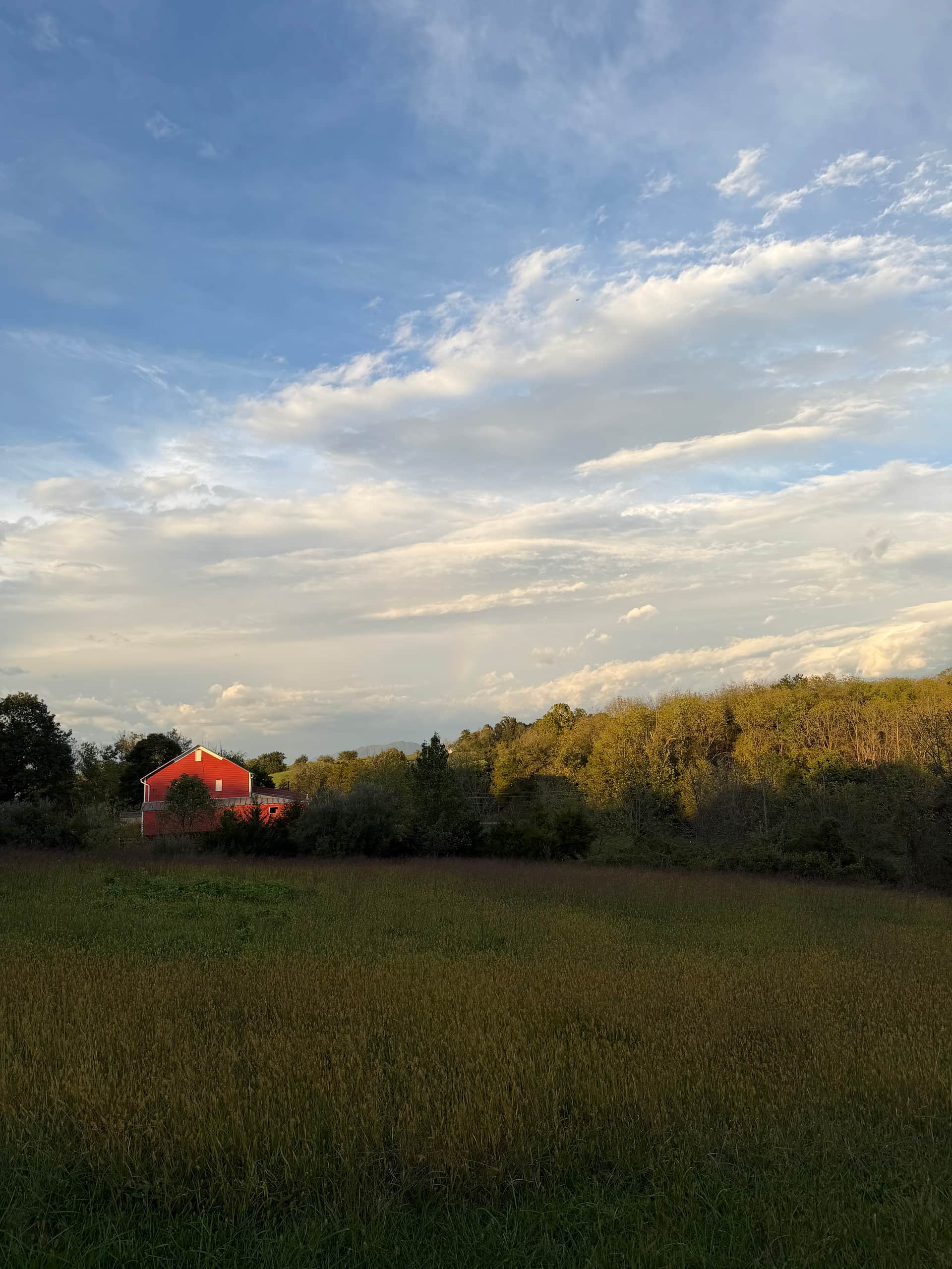 Sunshine and Coffee Farm