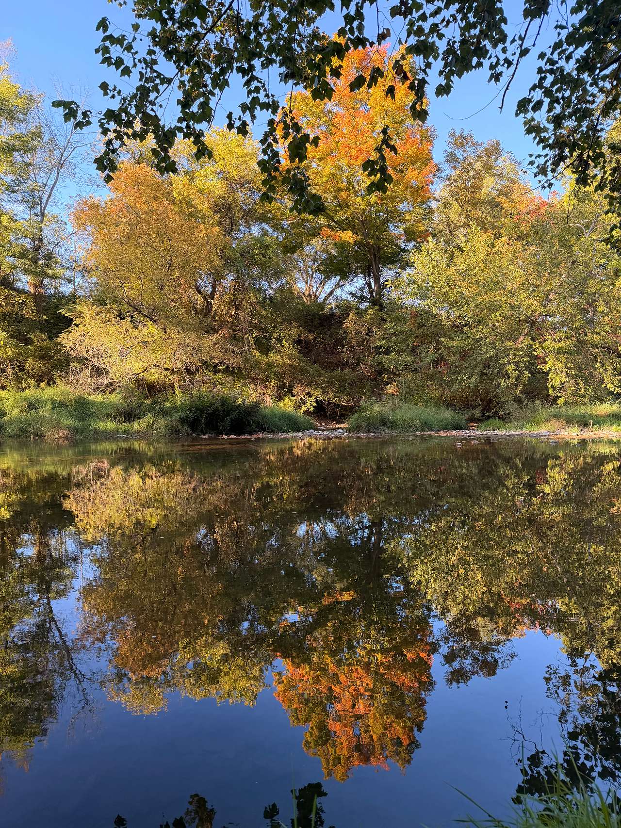 Campcreeklife