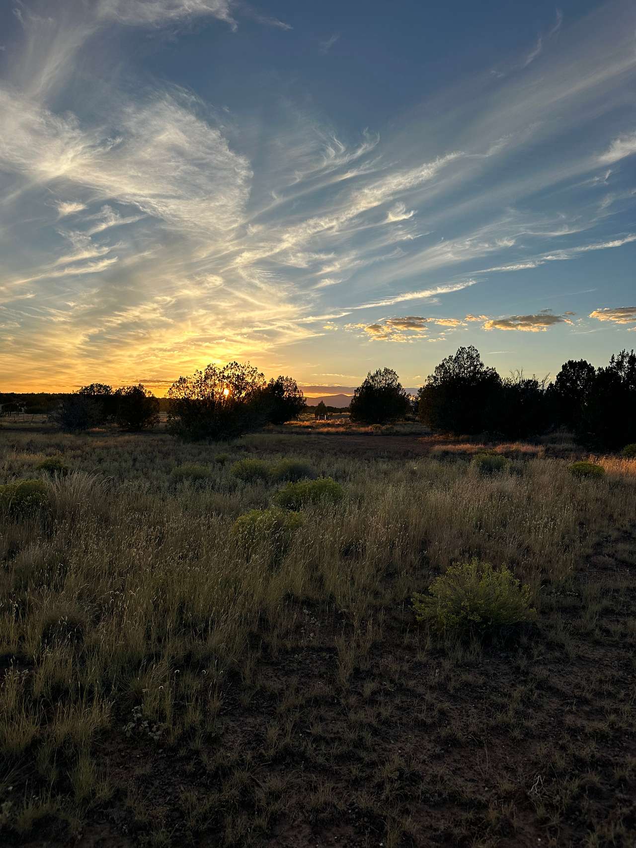 A Spark in the Dark Campground