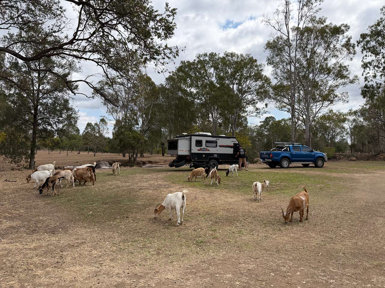 Rocky Creek Homestead
