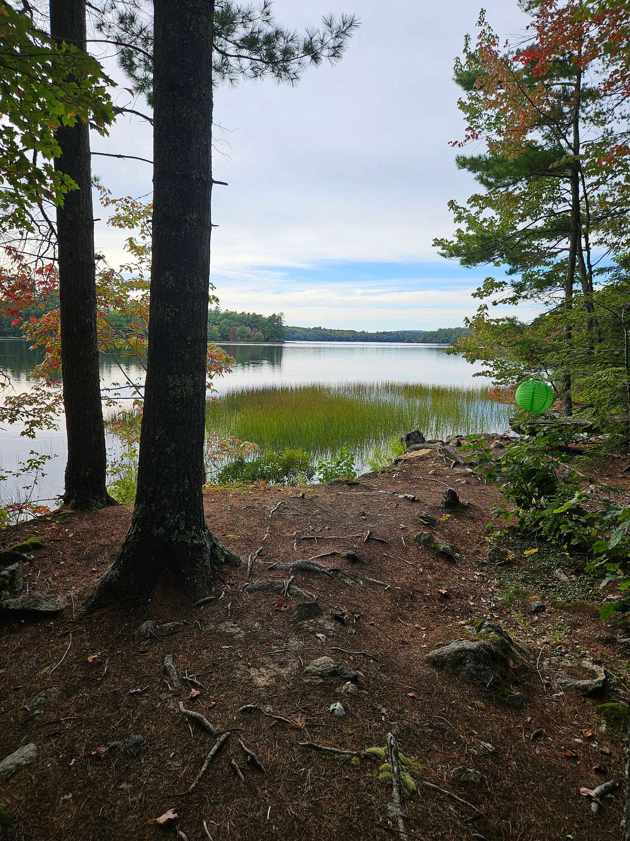 Looking out from the site onto Crawford pond