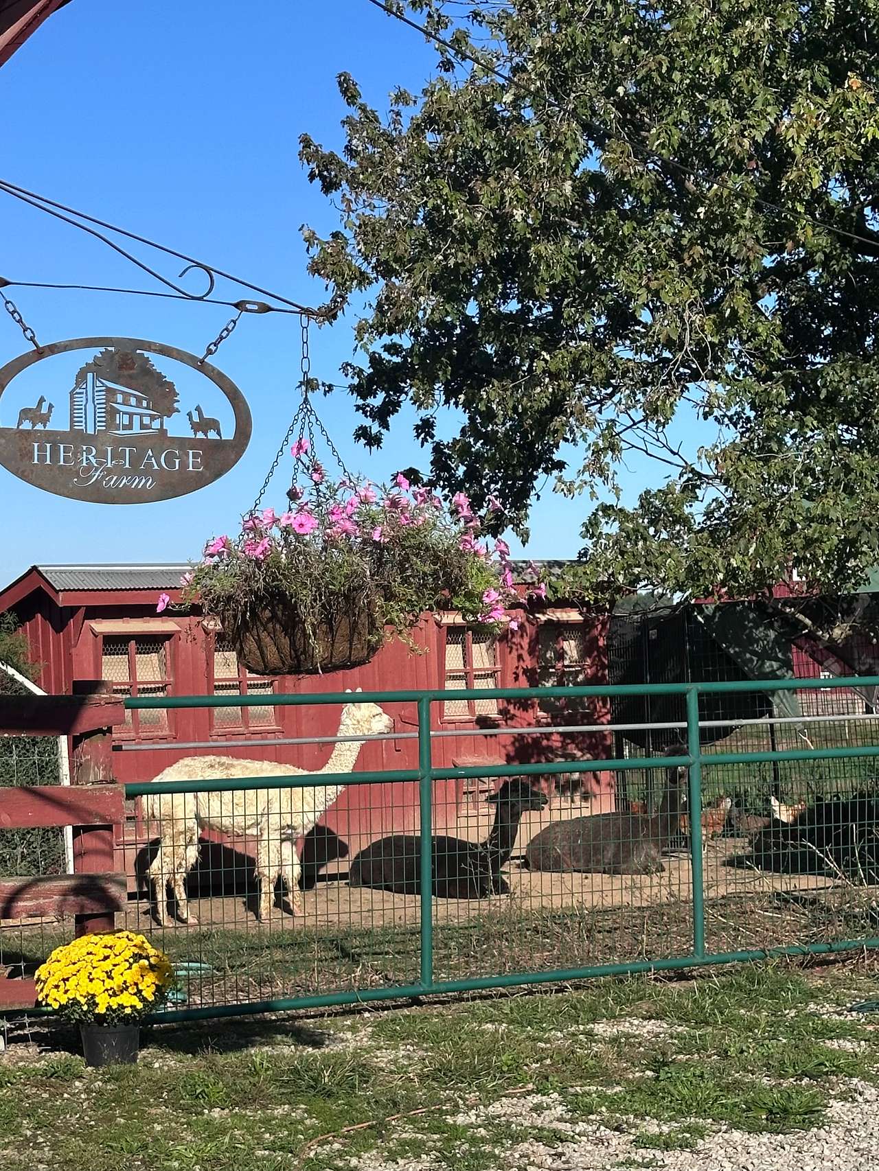 Heritage Farm Stay Adventure