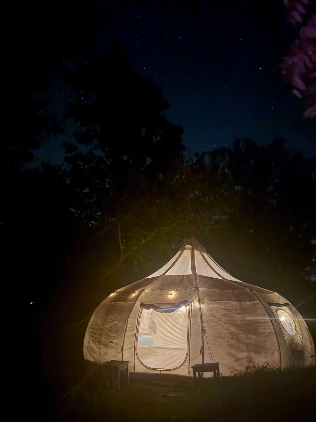 Yurt Glamping Tents + Farm Animals