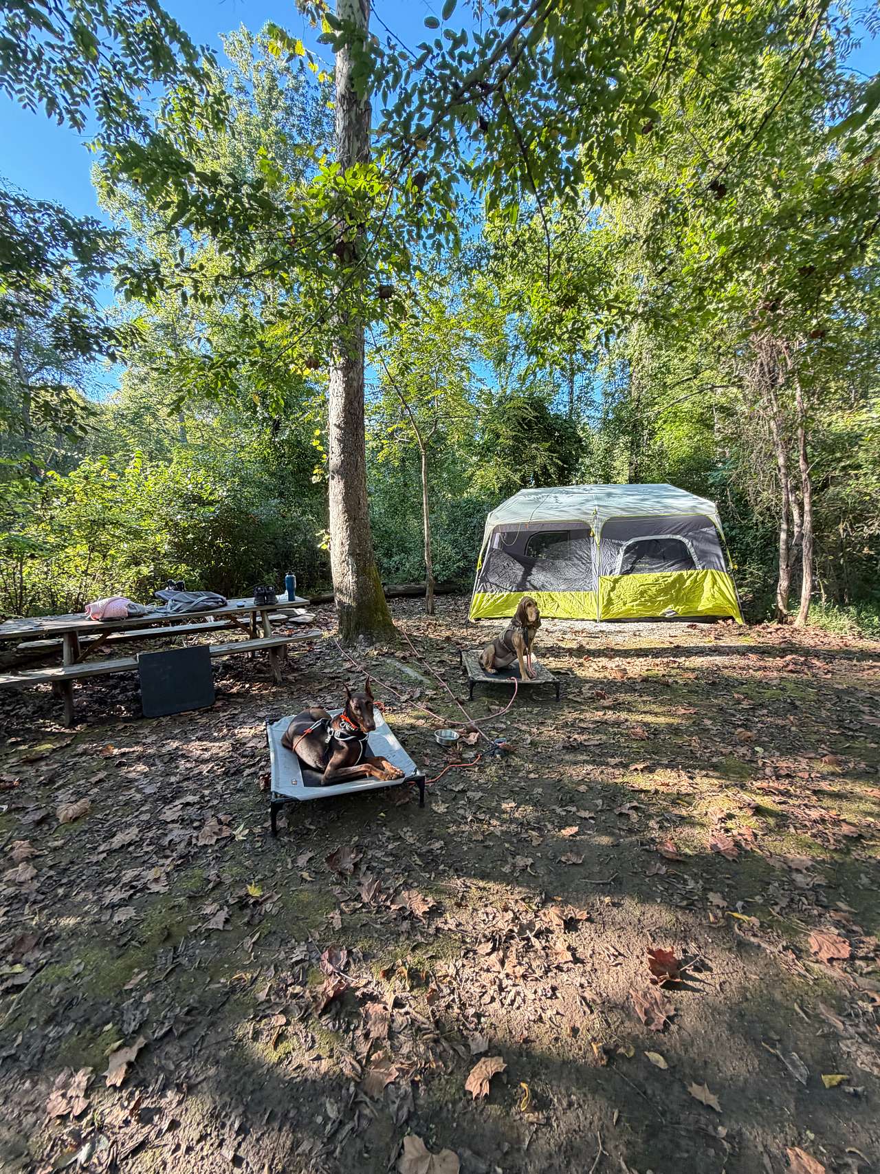 TangleWood Creekside Campsites