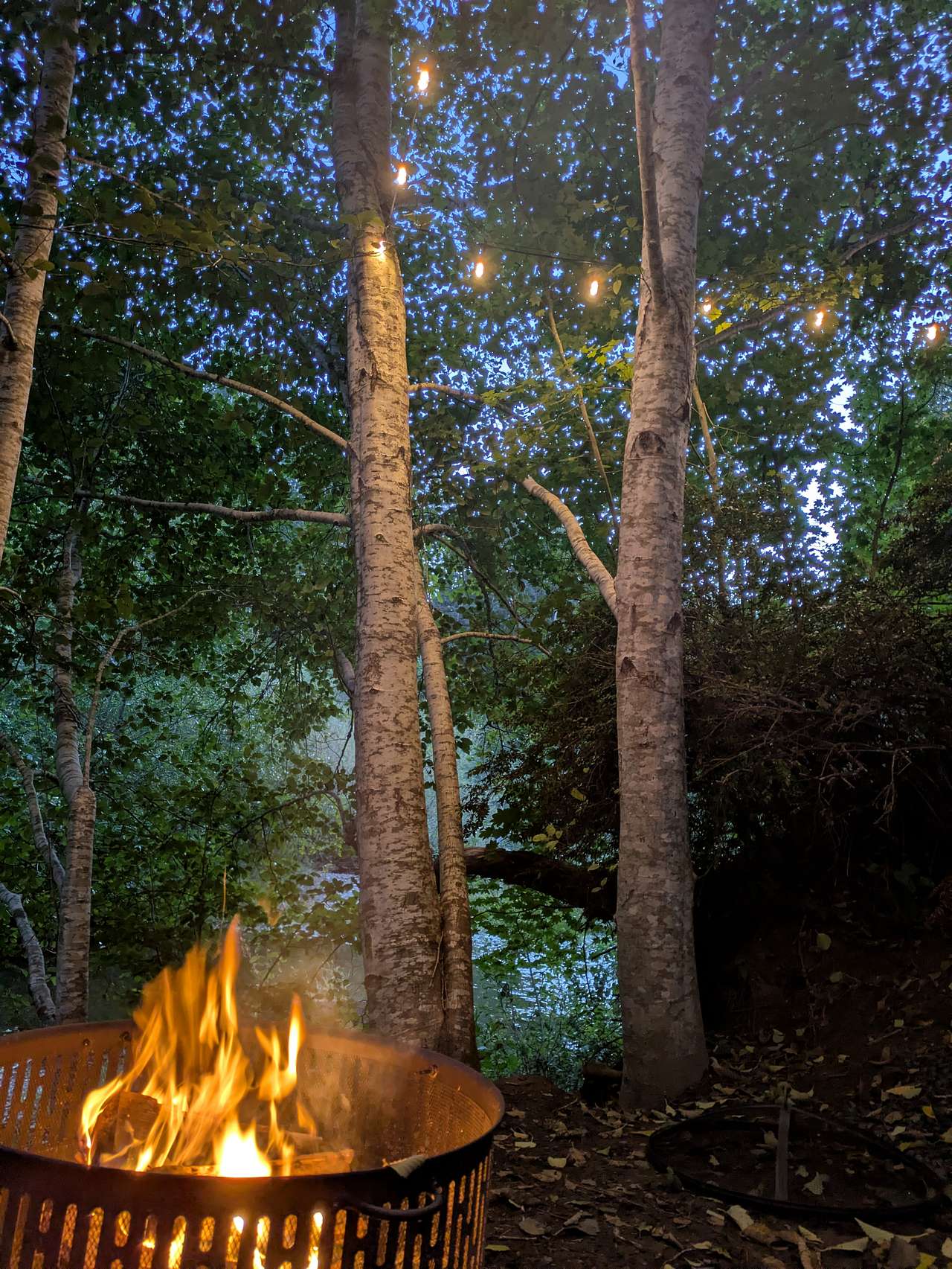 Tahuya River Lodge Campground