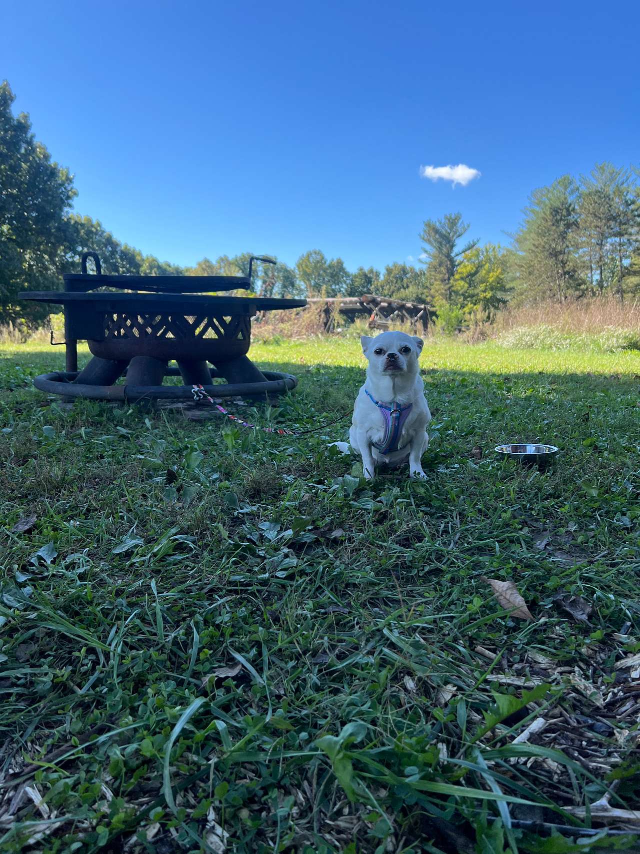 Woody Acres