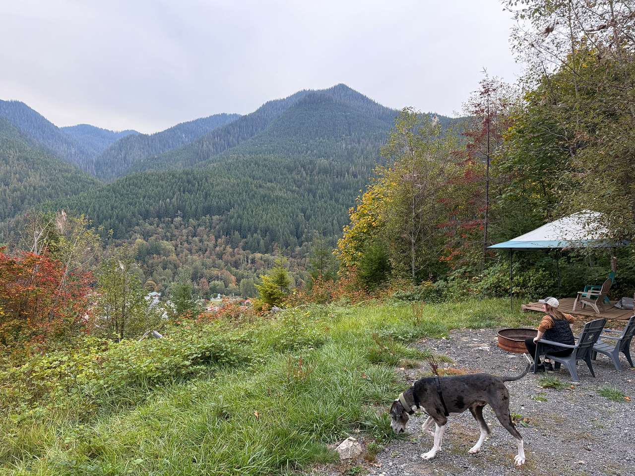 Earth Biscuits Skykomish Campground