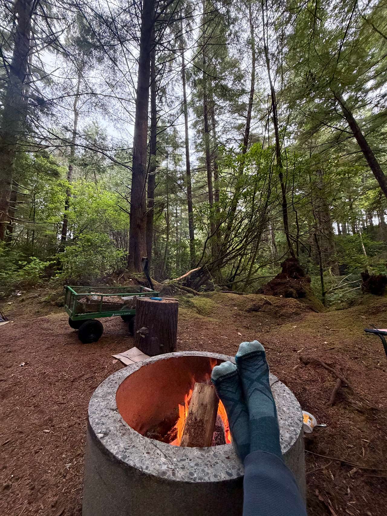Trip Camp- Secluded Forest by Beach